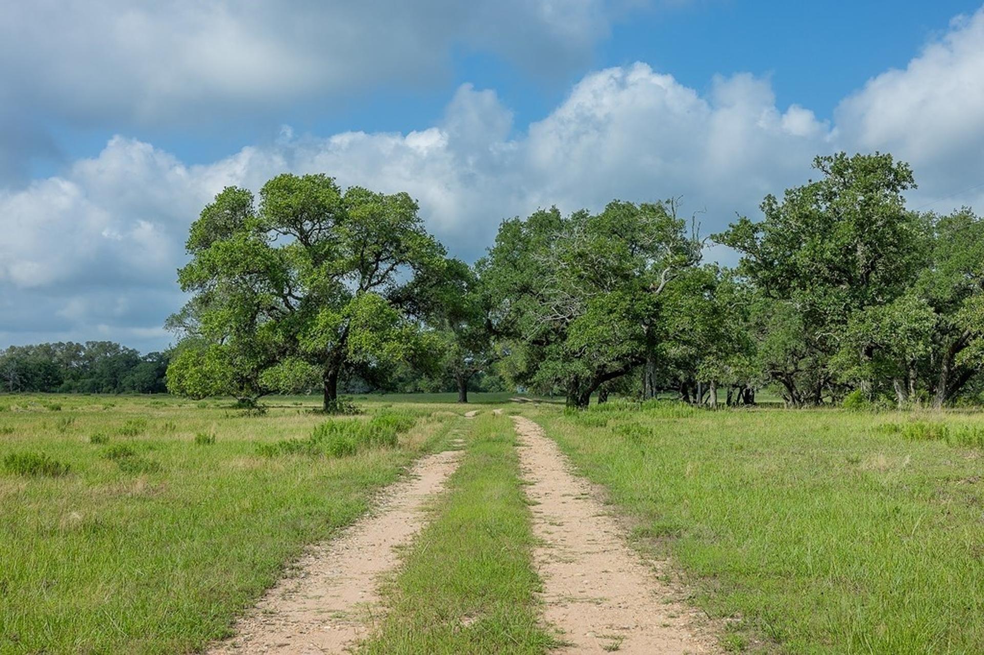 1561 County Road 154, Weimar, TX, 78934