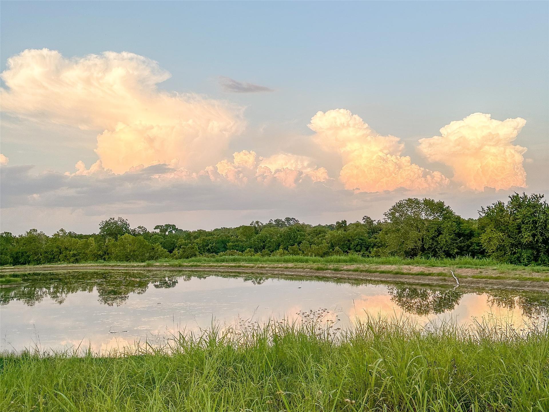 2757 Saint Beulah Chapel, Montgomery, TX, 77316