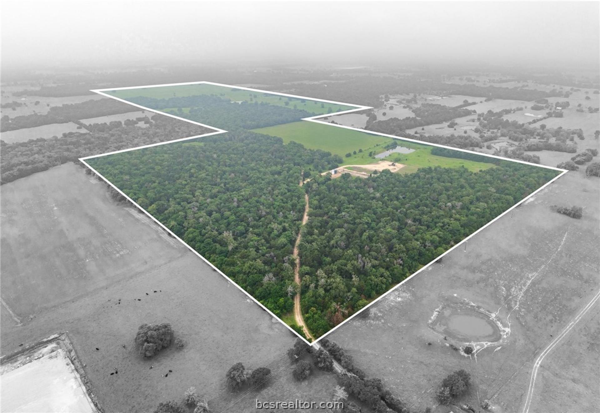 TBD CR 140 & TBD CR 142 TBD County Road 140 & 142, Caldwell, TX, 77836