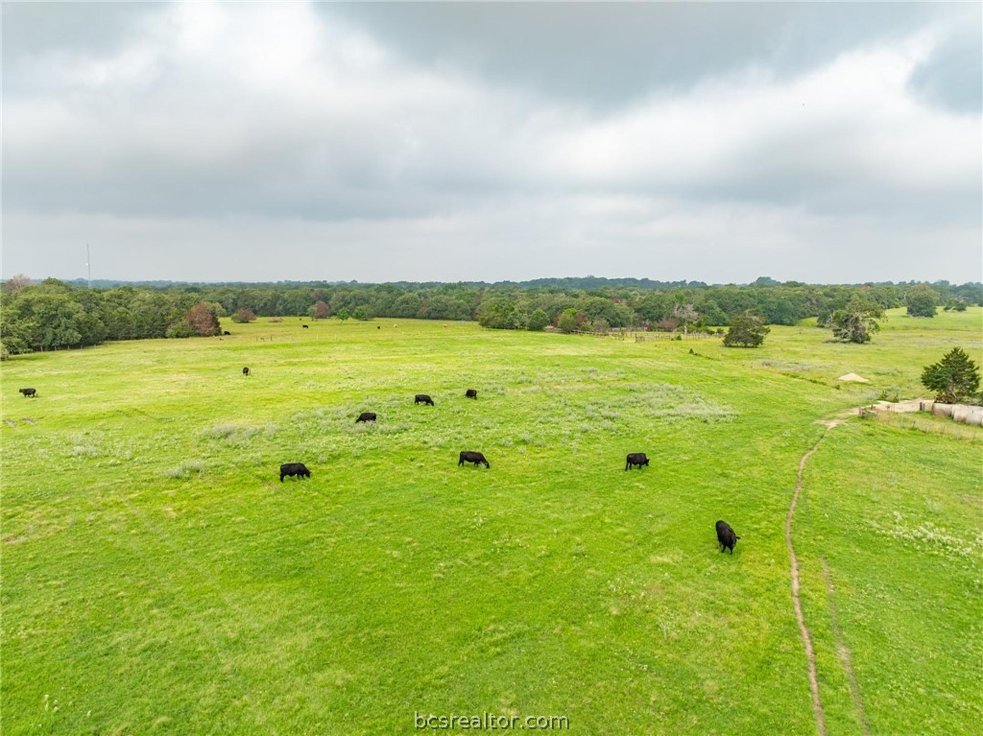 TBD CR 140 & TBD CR 142 TBD County Road 140 & 142, Caldwell, TX, 77836