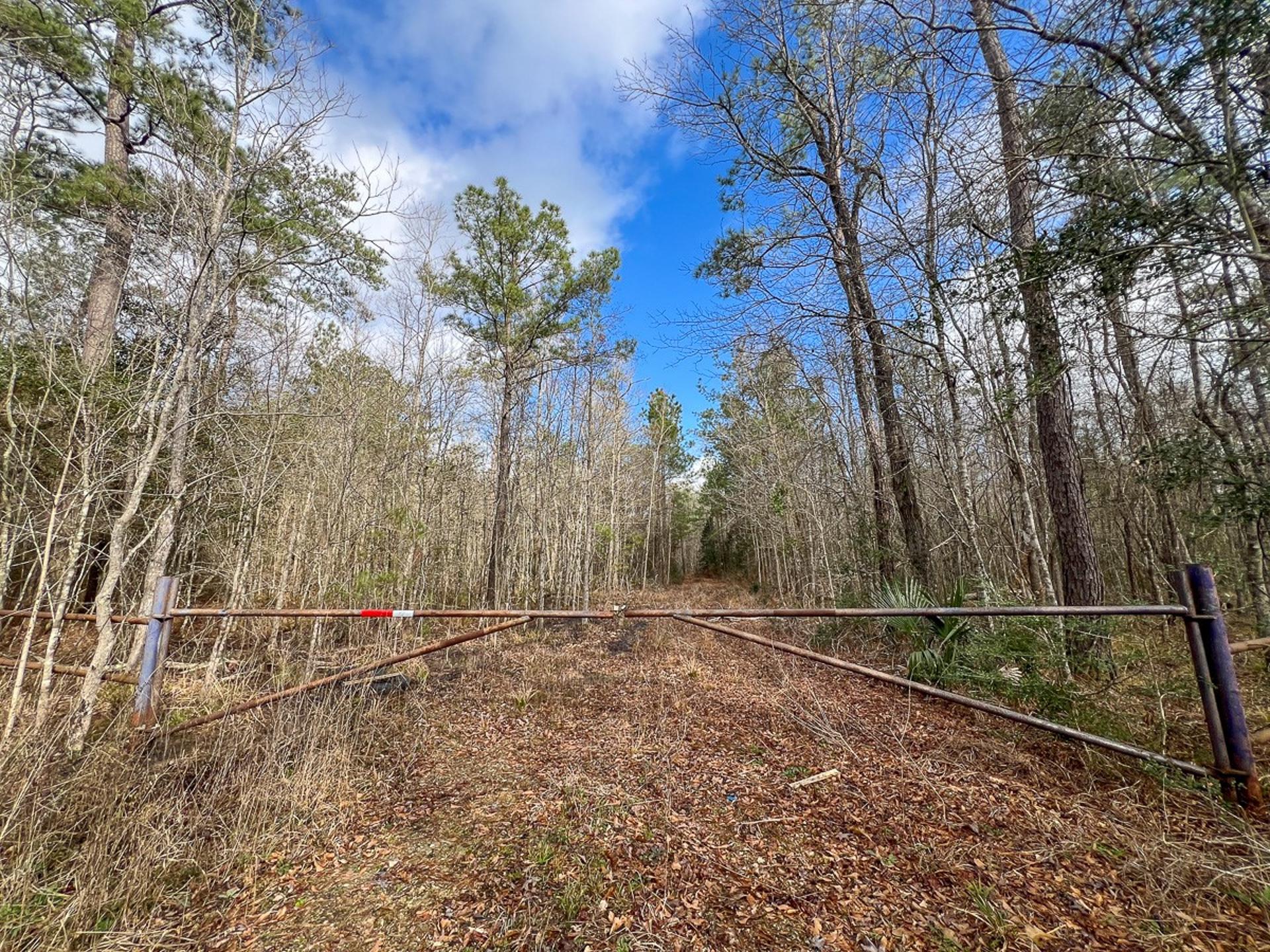 0 Highway 12/ Linscomb Road, Vidor, TX, 77662