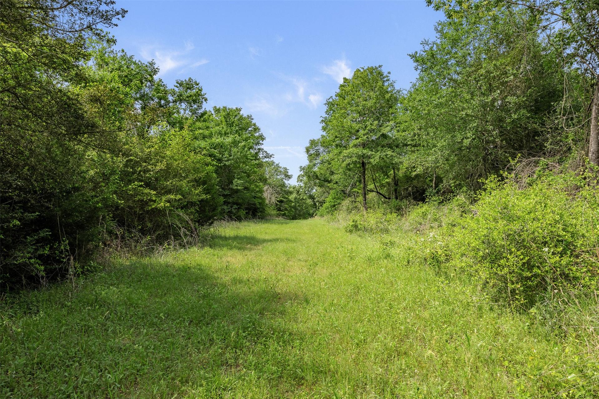 +/- 400 AC FM 2289, Normangee, TX, 77871