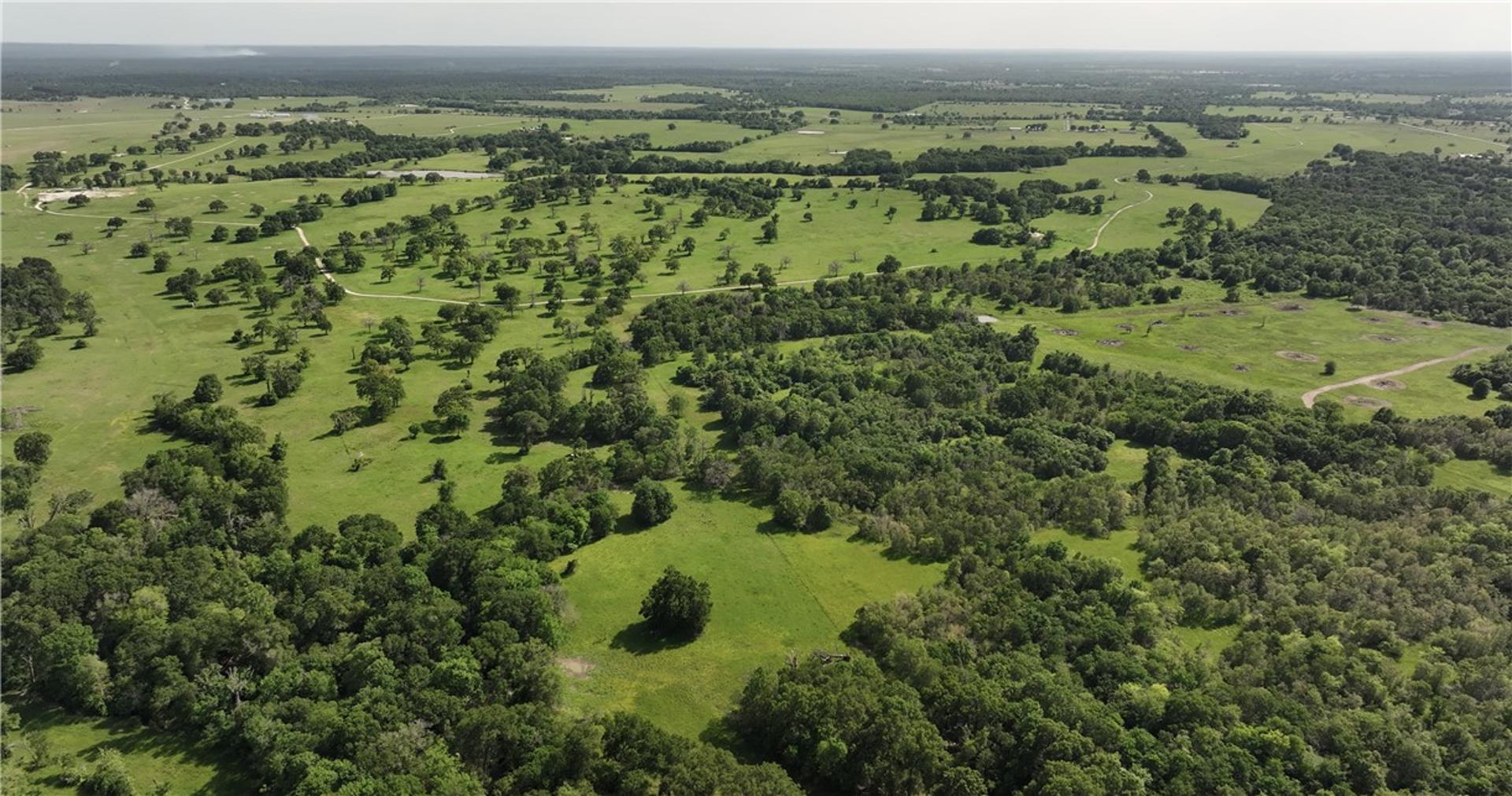 9601 Fm-1428, Midway, TX, 75852