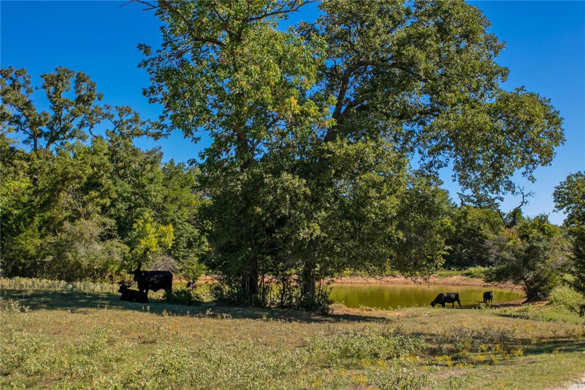11041 Jackrabbit, Bryan, TX, 77808