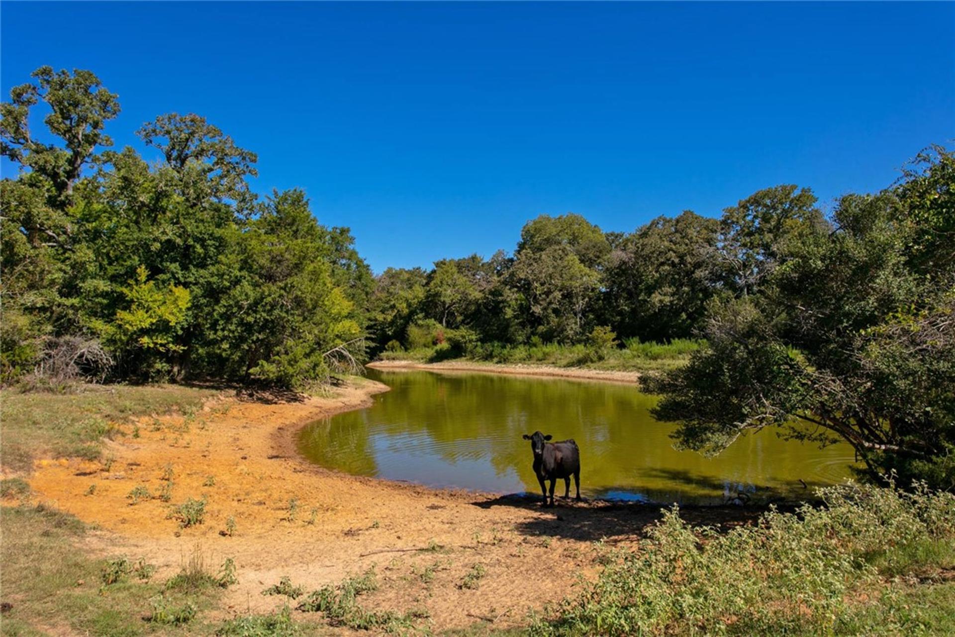 11041 Jackrabbit, Bryan, TX, 77808