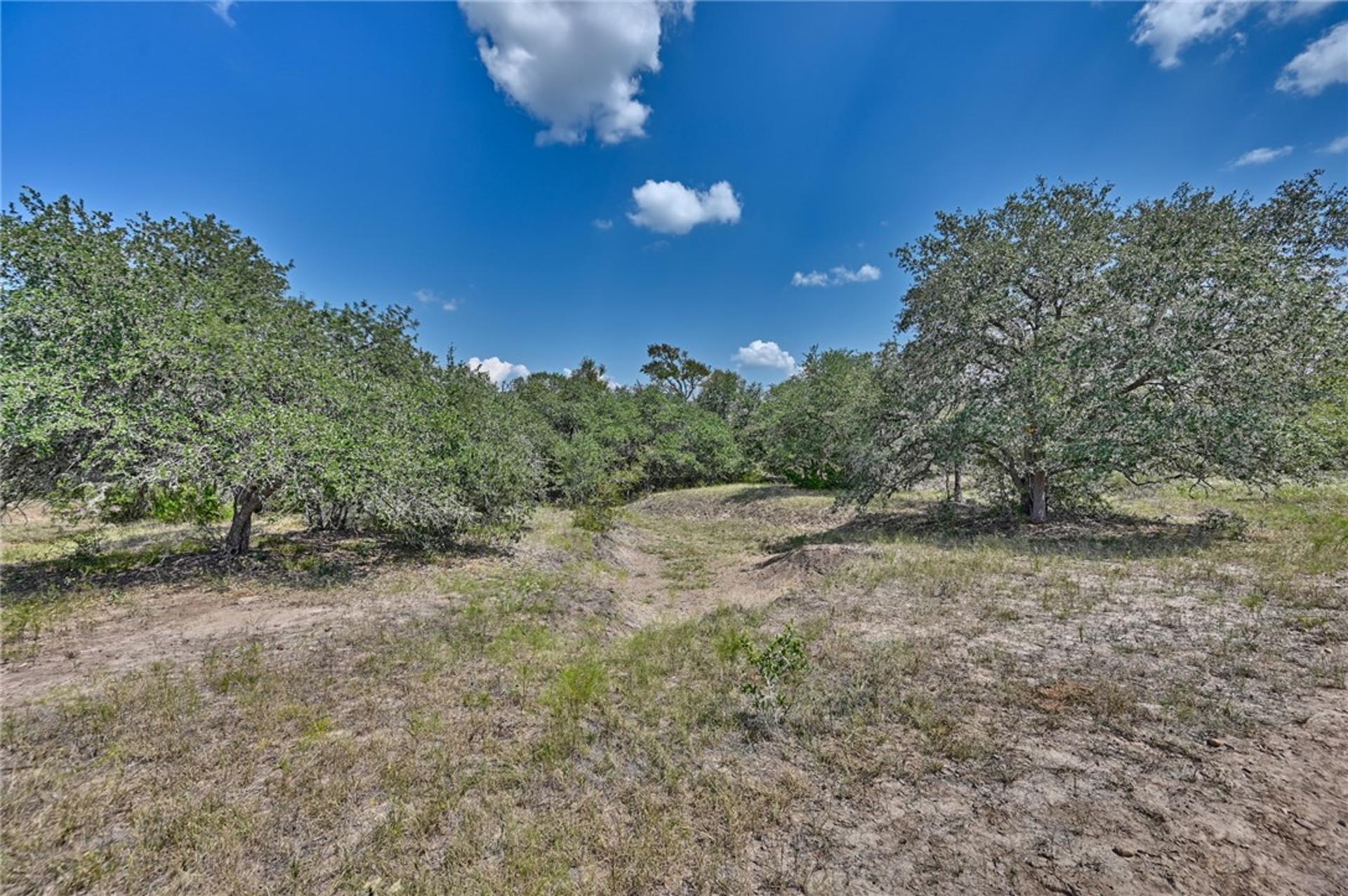 TBD(+/-237.91 AC) HWY 36, Caldwell, TX, 77836