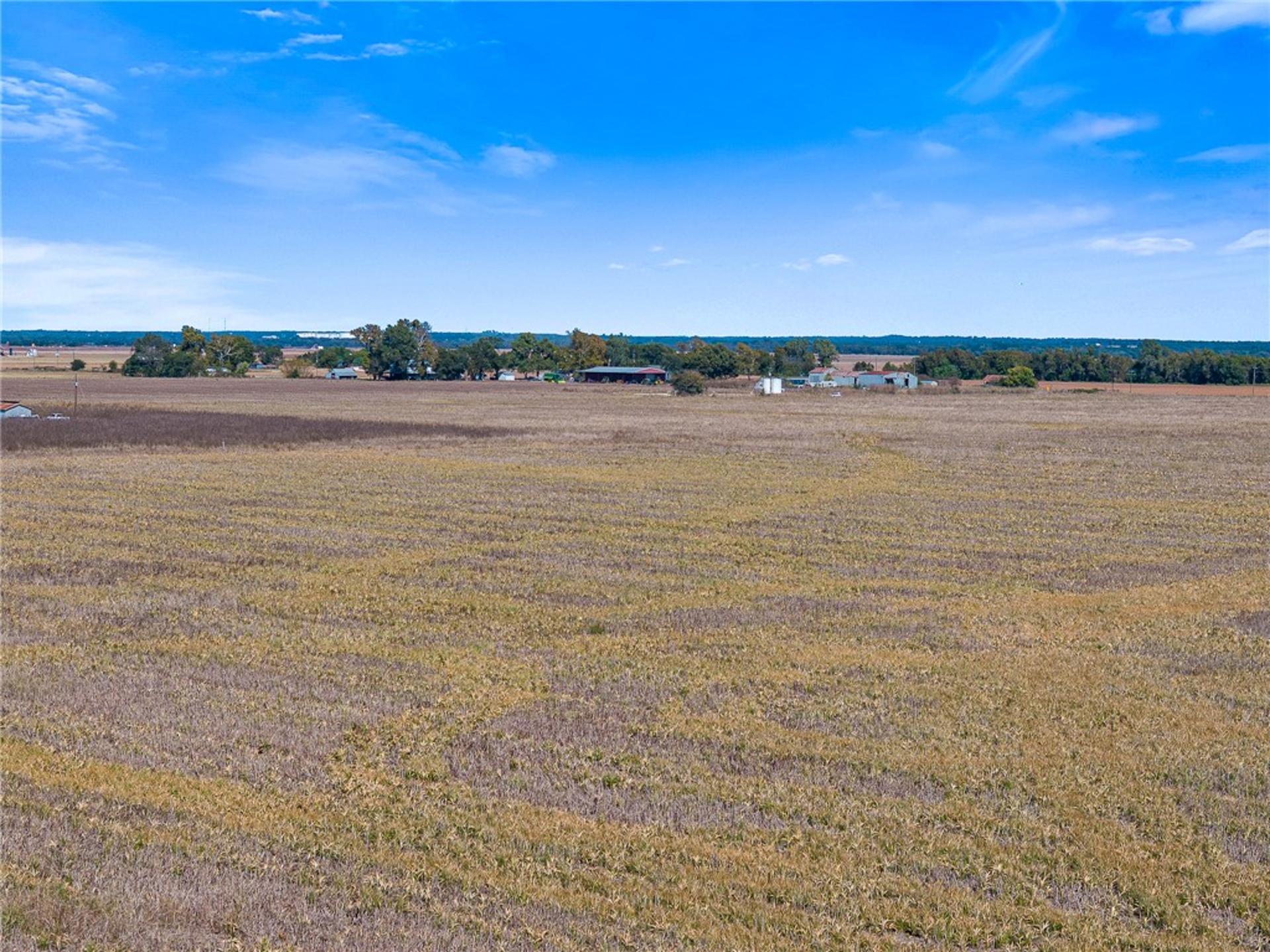 TBD FM 50 - 155.309 Acres, Hearne, TX, 77859