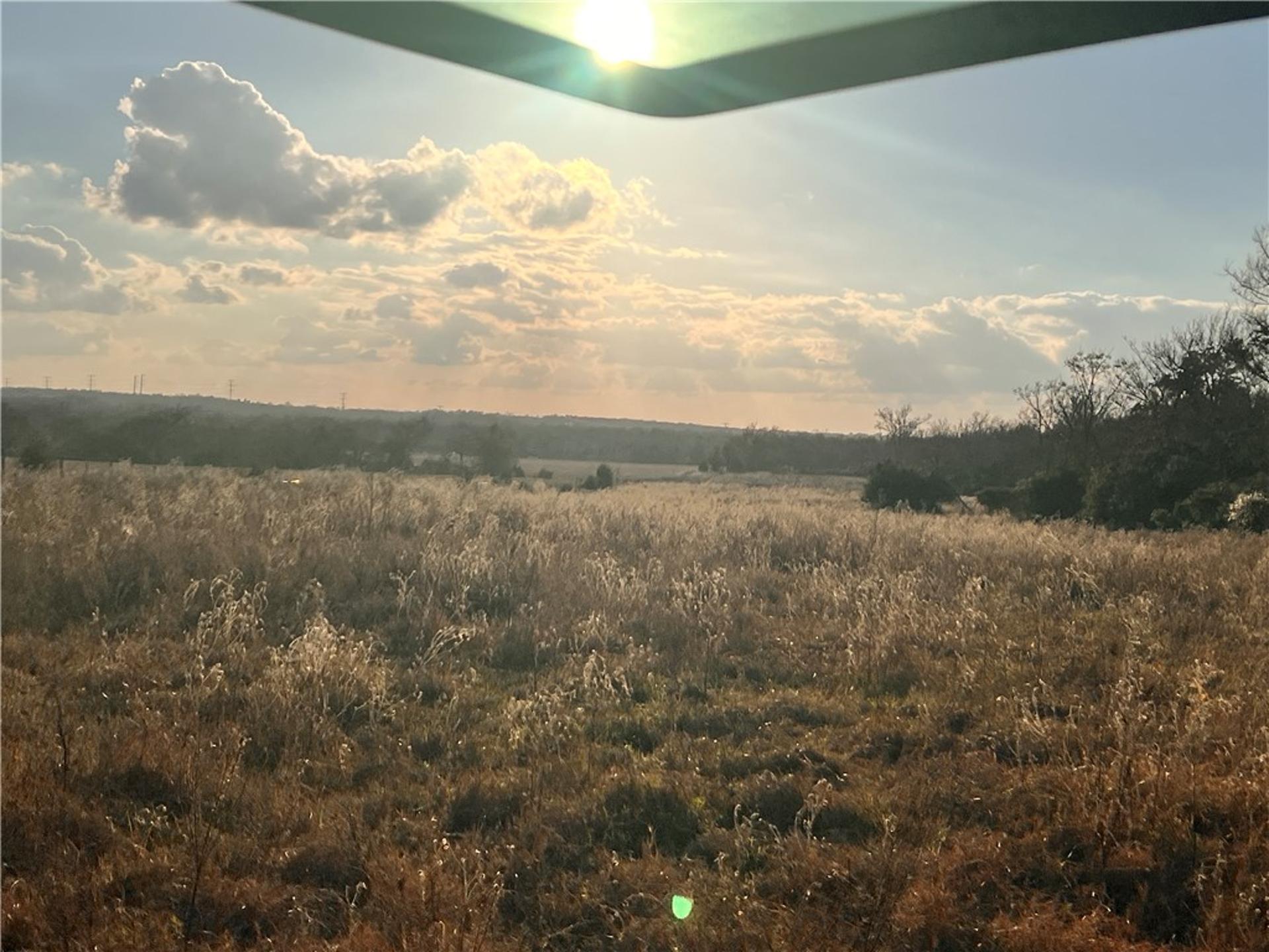 308.844 Acres TBD FM 1469, Marquez, TX, 77865