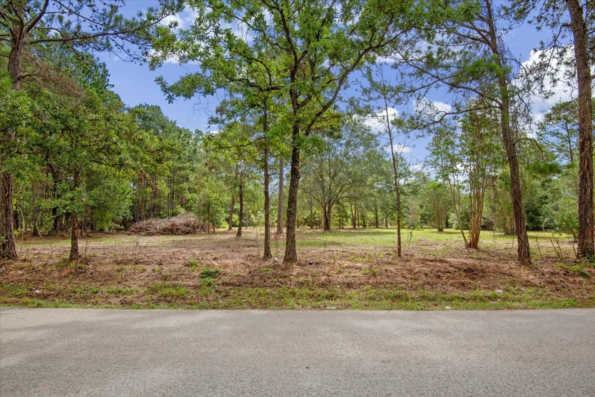 TBD Lot 1 County Road 302, Plantersville, TX, 77363