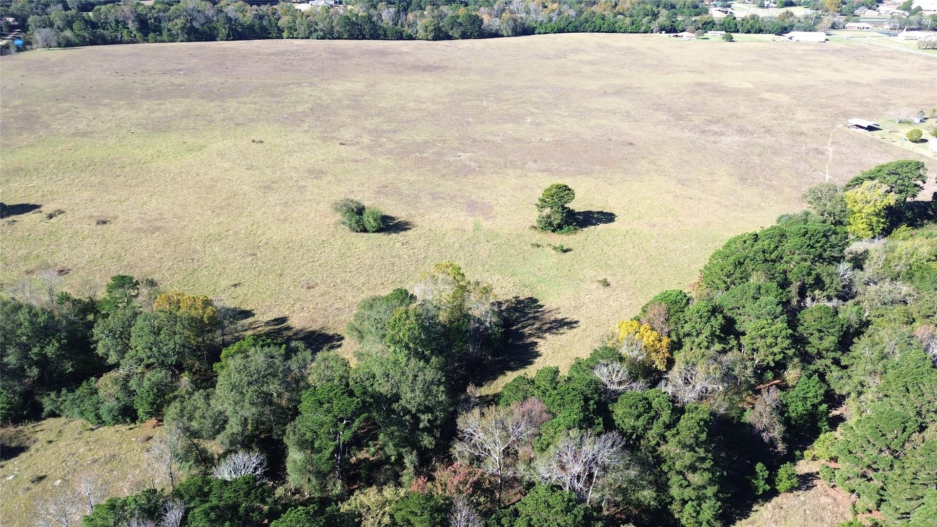 0 Augusta, Grapeland, TX, 75844