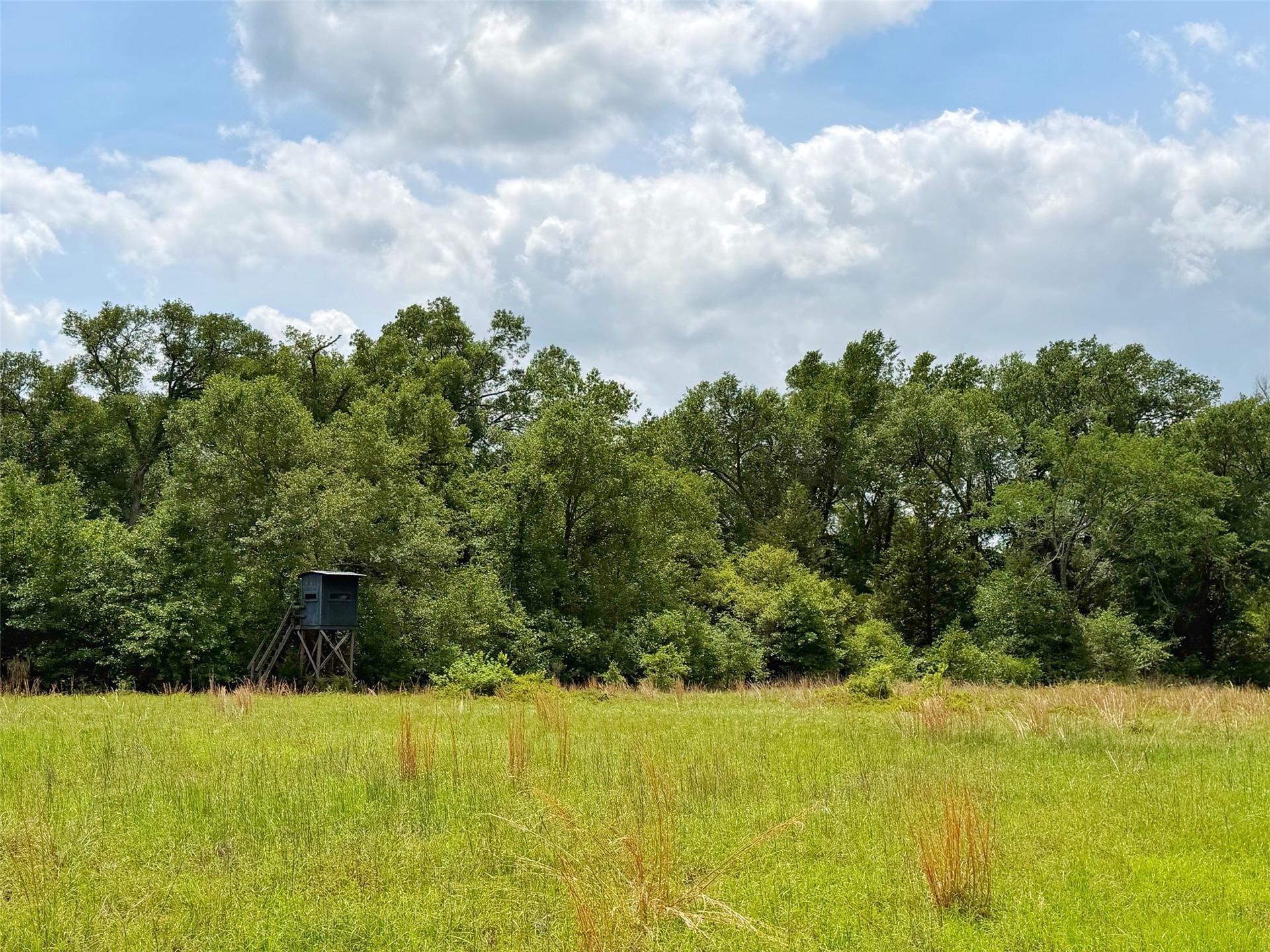 100 ac CR 408, Normangee, TX, 77871