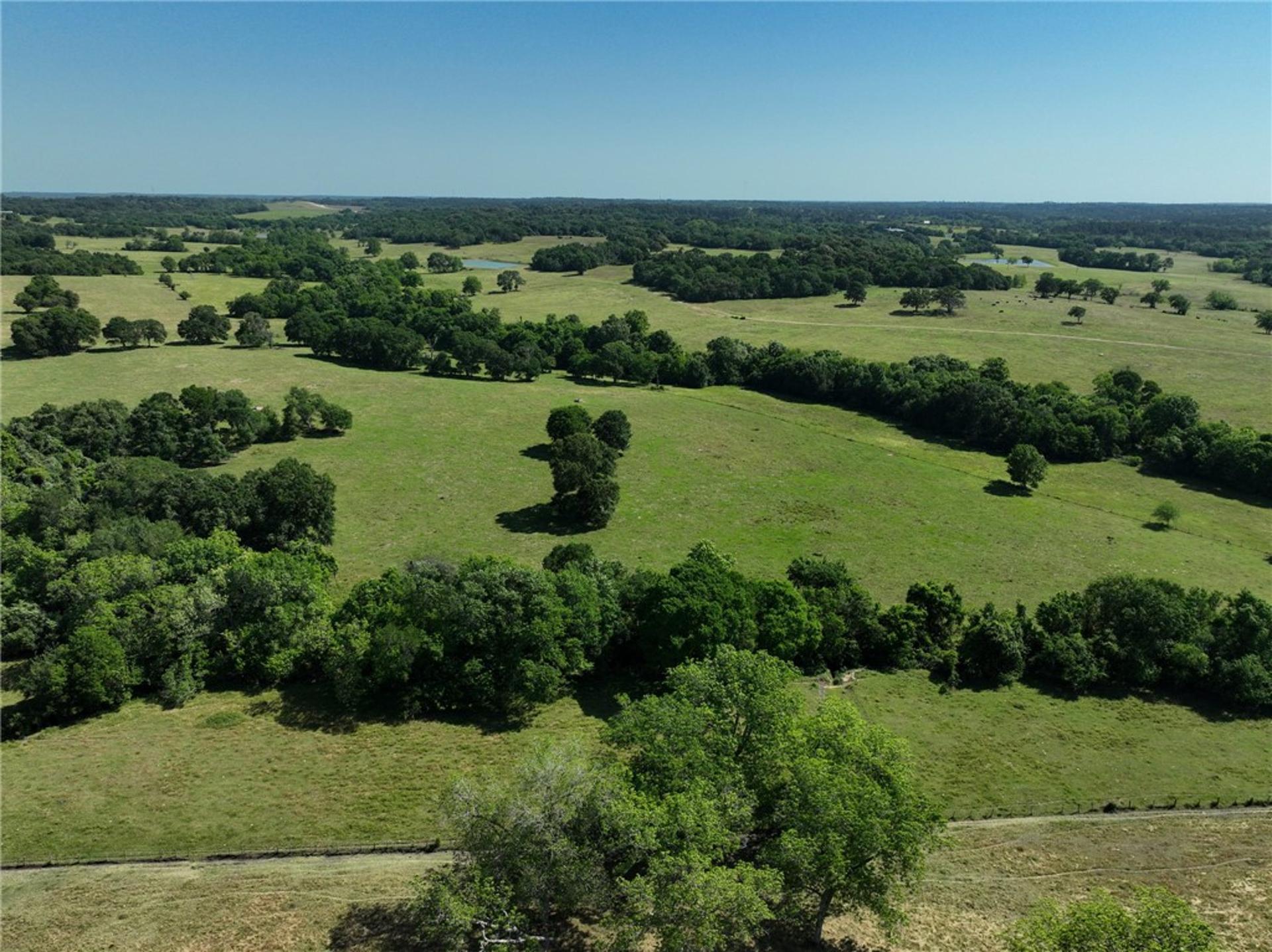 Tract #9 County Road 305, Navasota, TX, 77868