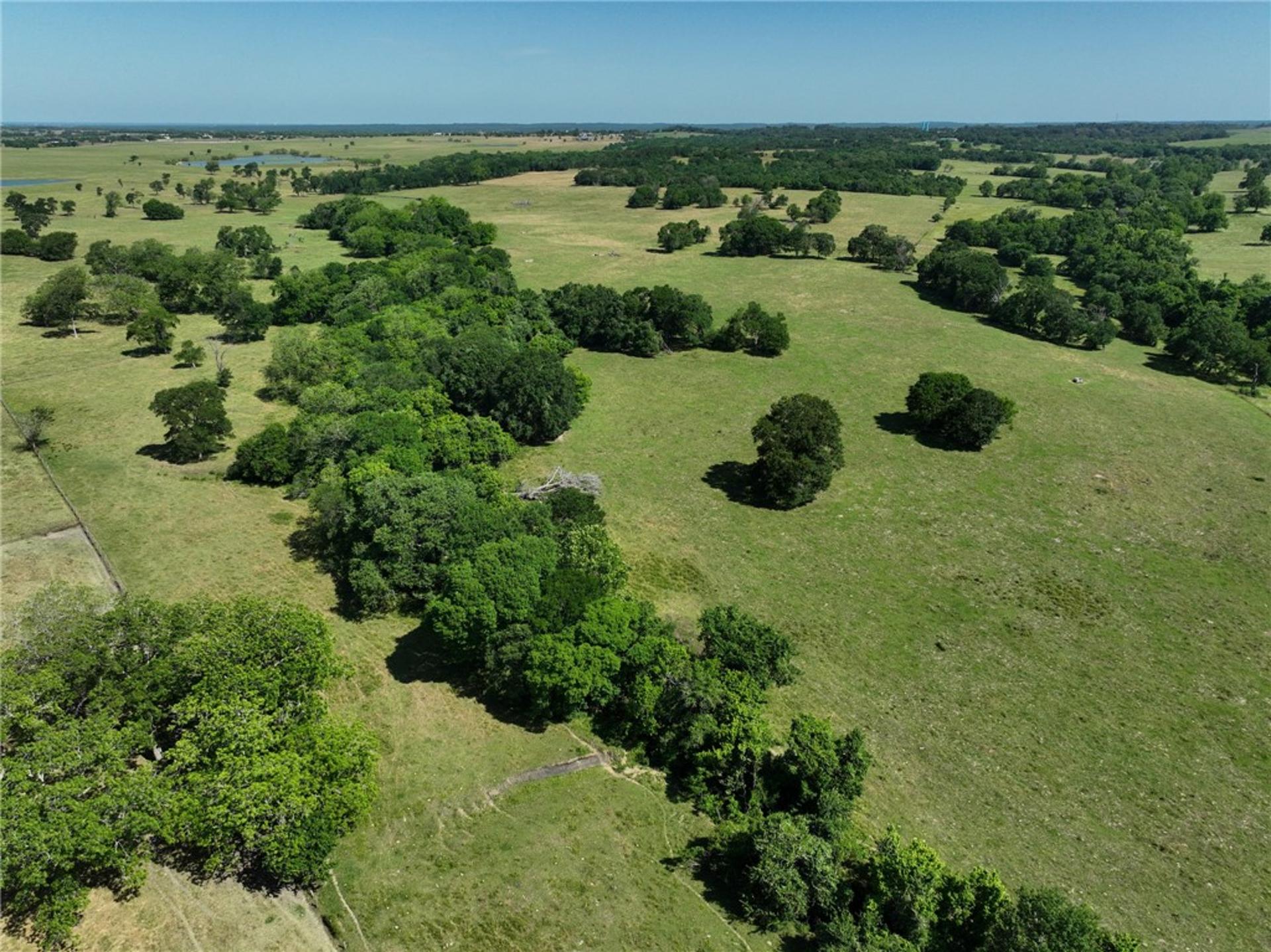 Tract #9 County Road 305, Navasota, TX, 77868