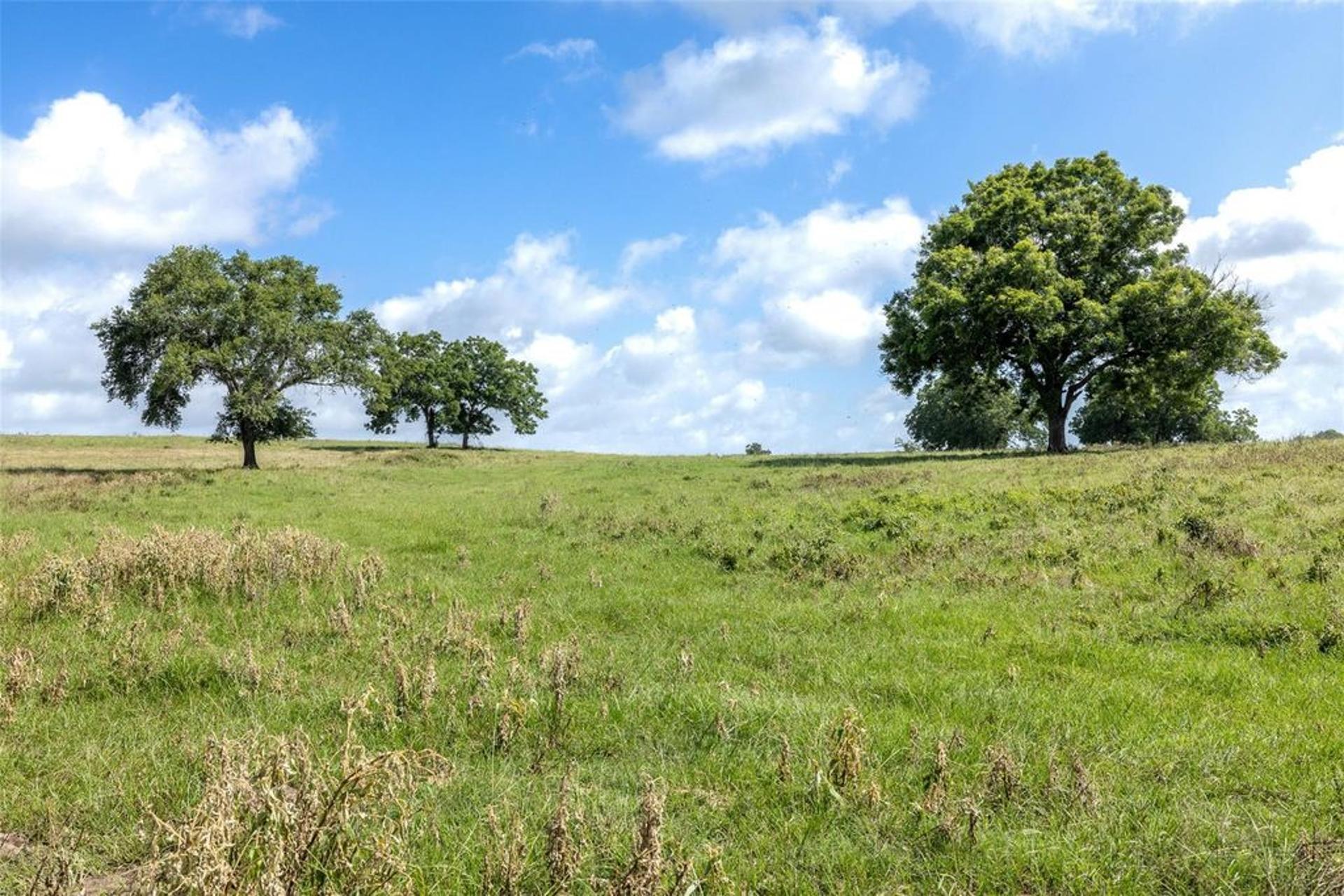 6550 Gibbs Creek, Chappell Hill, TX, 77426