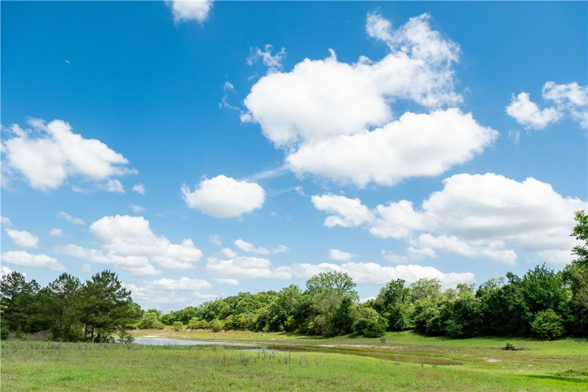 2199 Navasota Ridge (Pvt), Navasota, TX, 77868