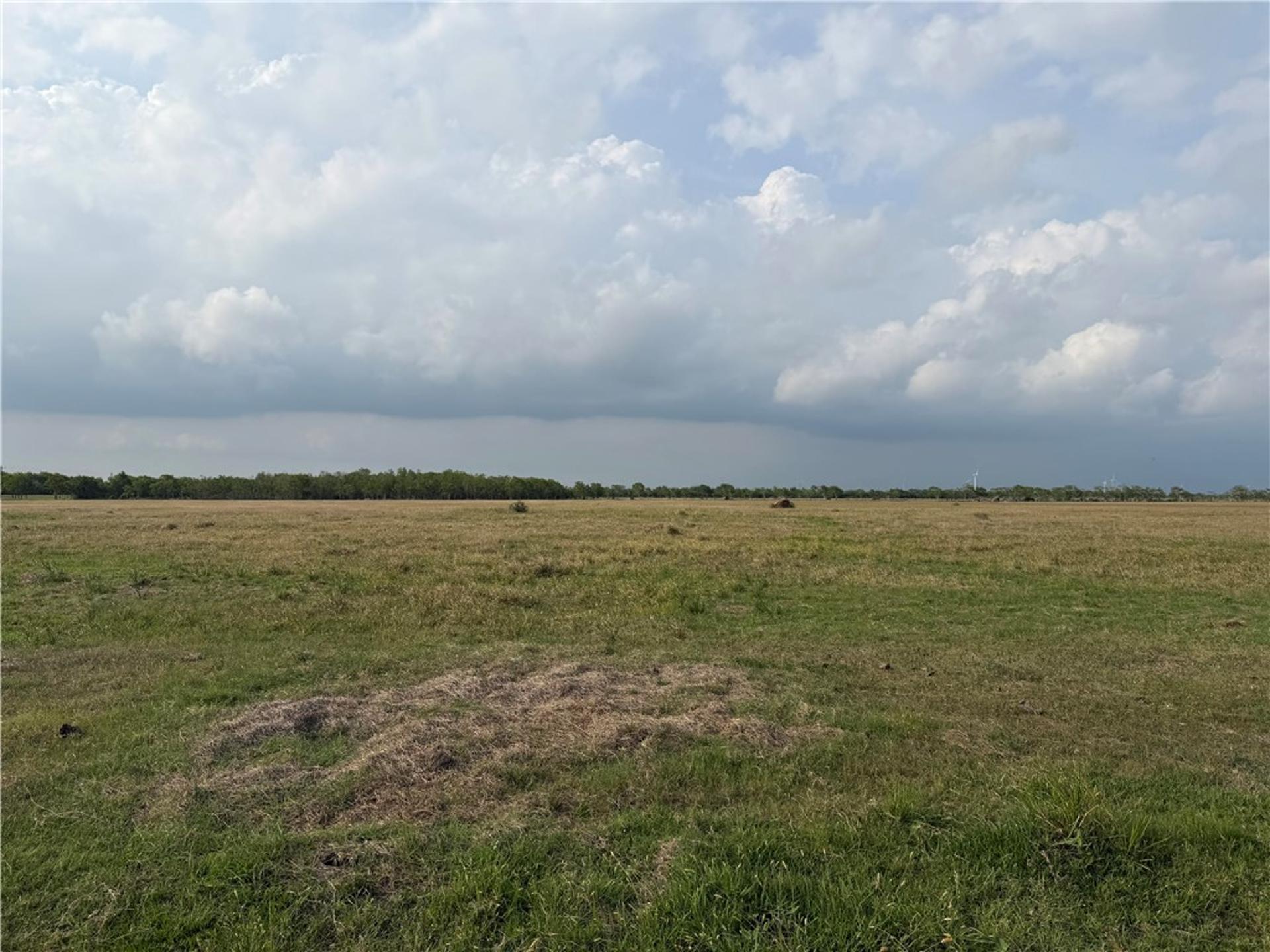 443 Laird Rd(Wadsworth), Other, TX, 77483