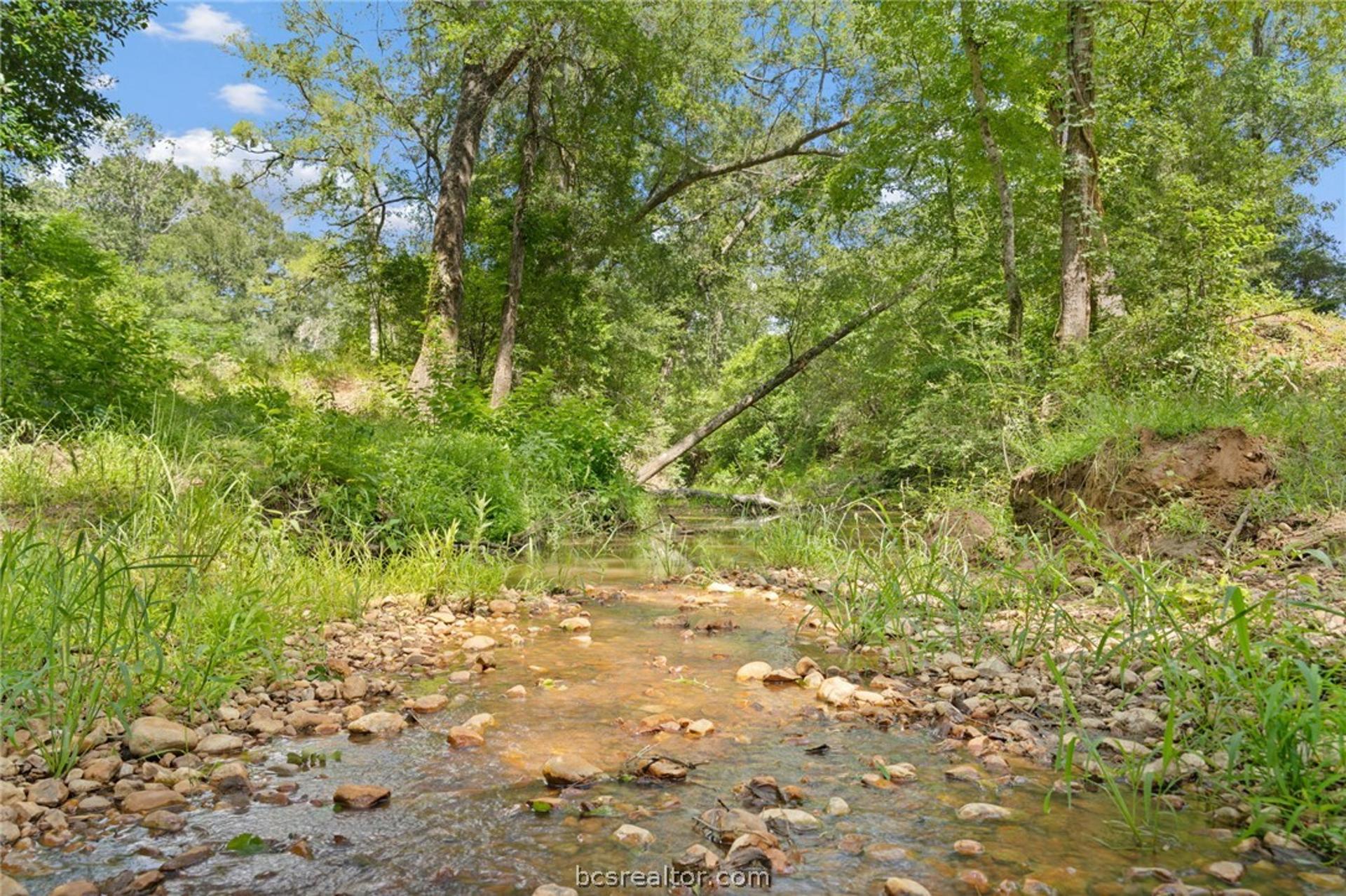 TBD St Delight (Tracts 11 & 12), Paige, TX, 78659