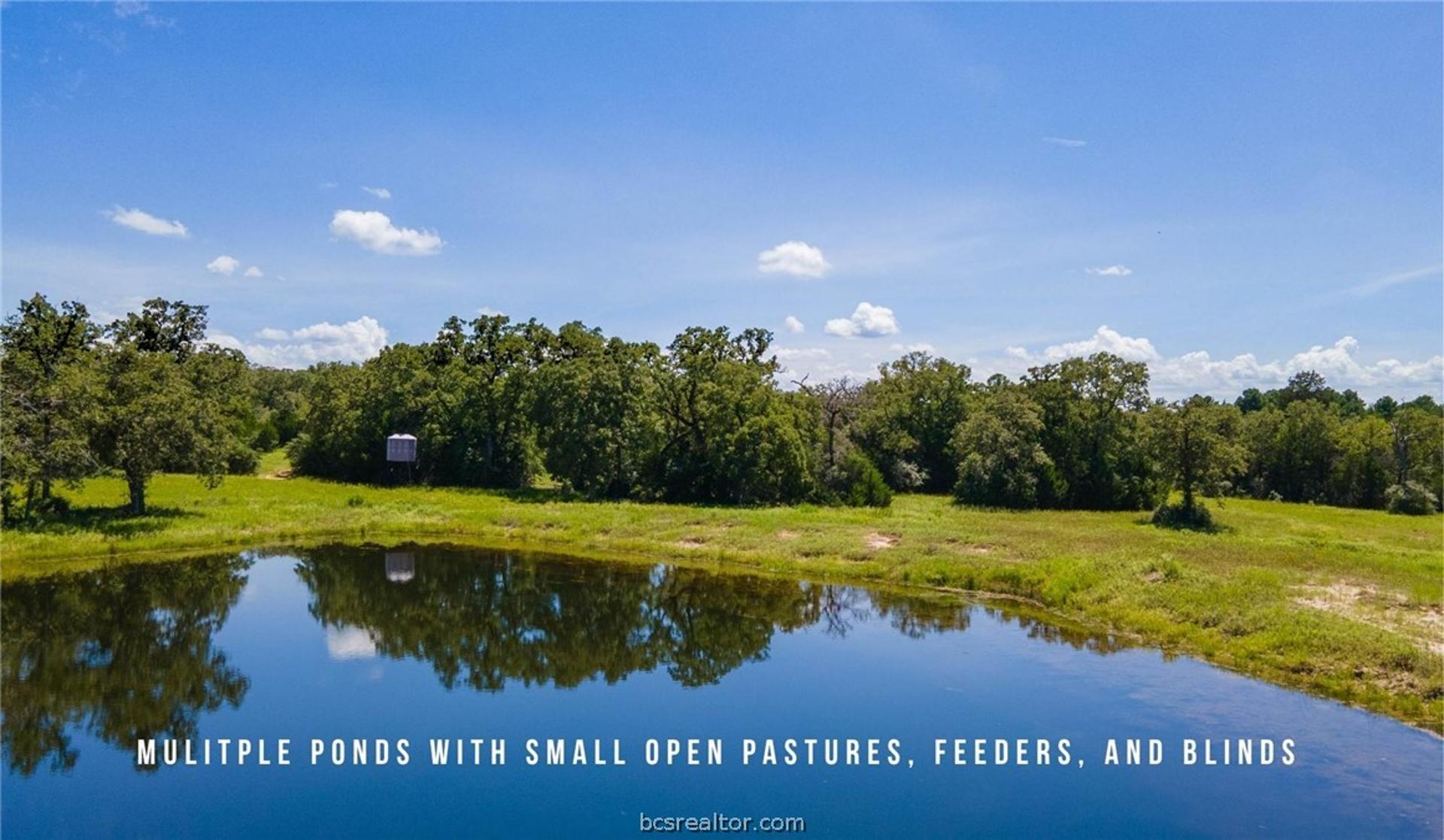 TBD County Road 405 (+/- 839 acres), Lexington, TX, 78947