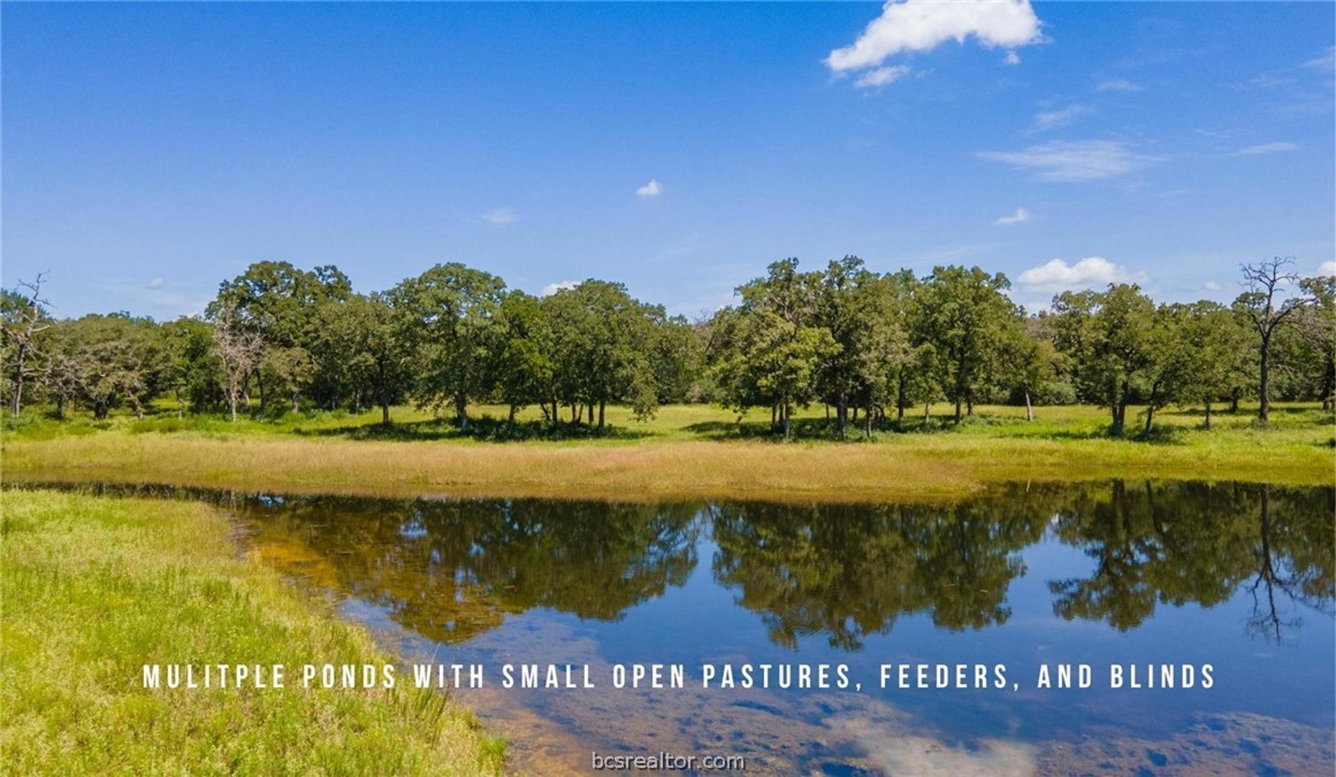 TBD County Road 405 (+/- 839 acres), Lexington, TX, 78947