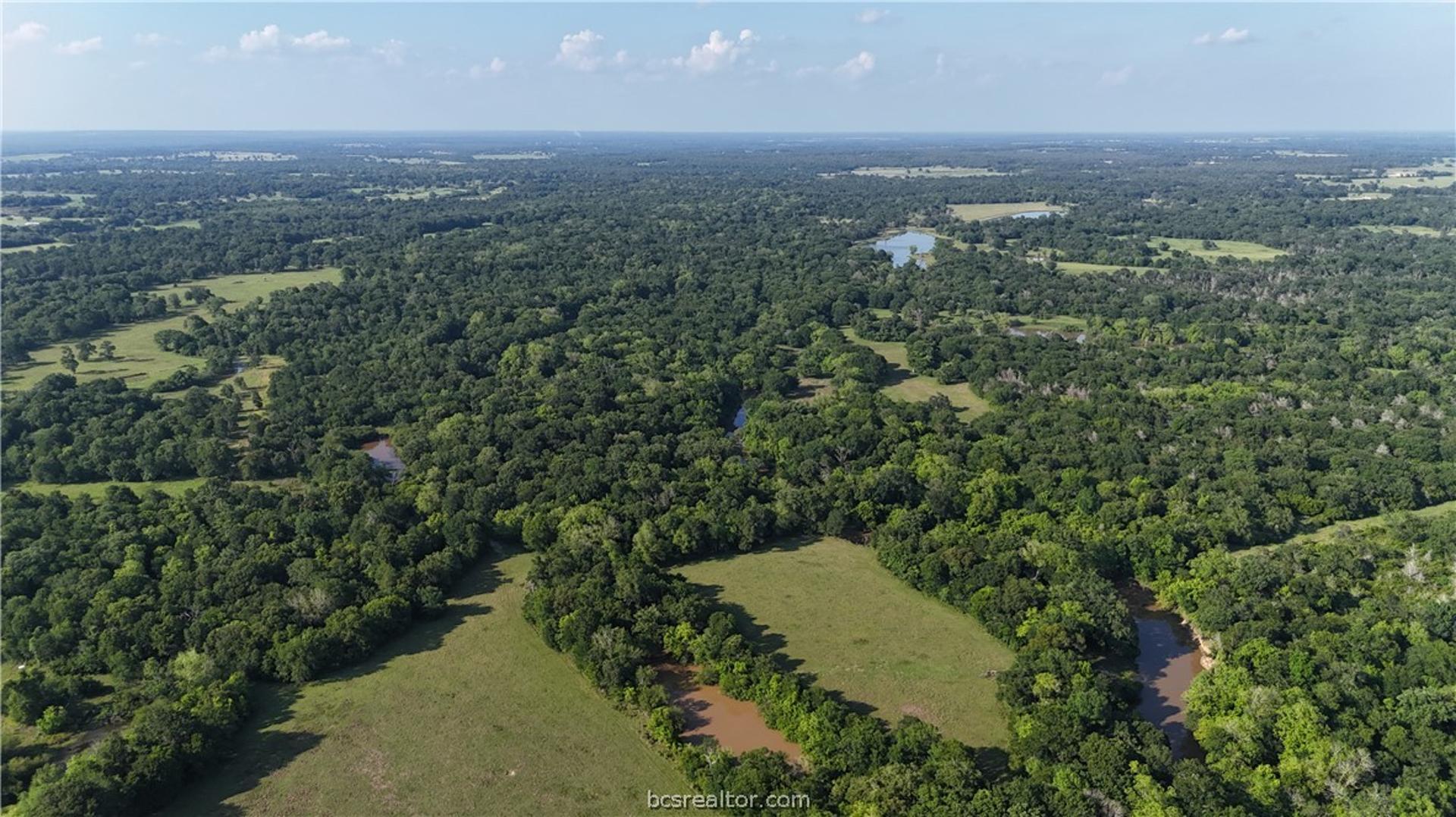 TBD Wilson Pasture Rd (+/-192.33 acres), Bryan, TX, 77808