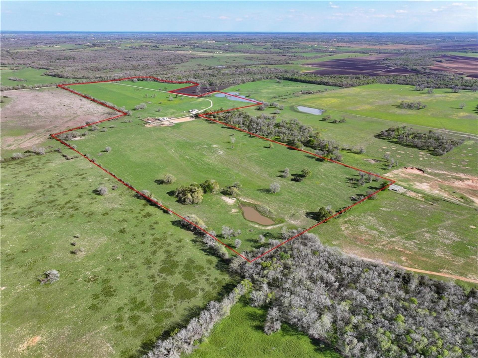 11581 County Road 419, Navasota, TX, 77868