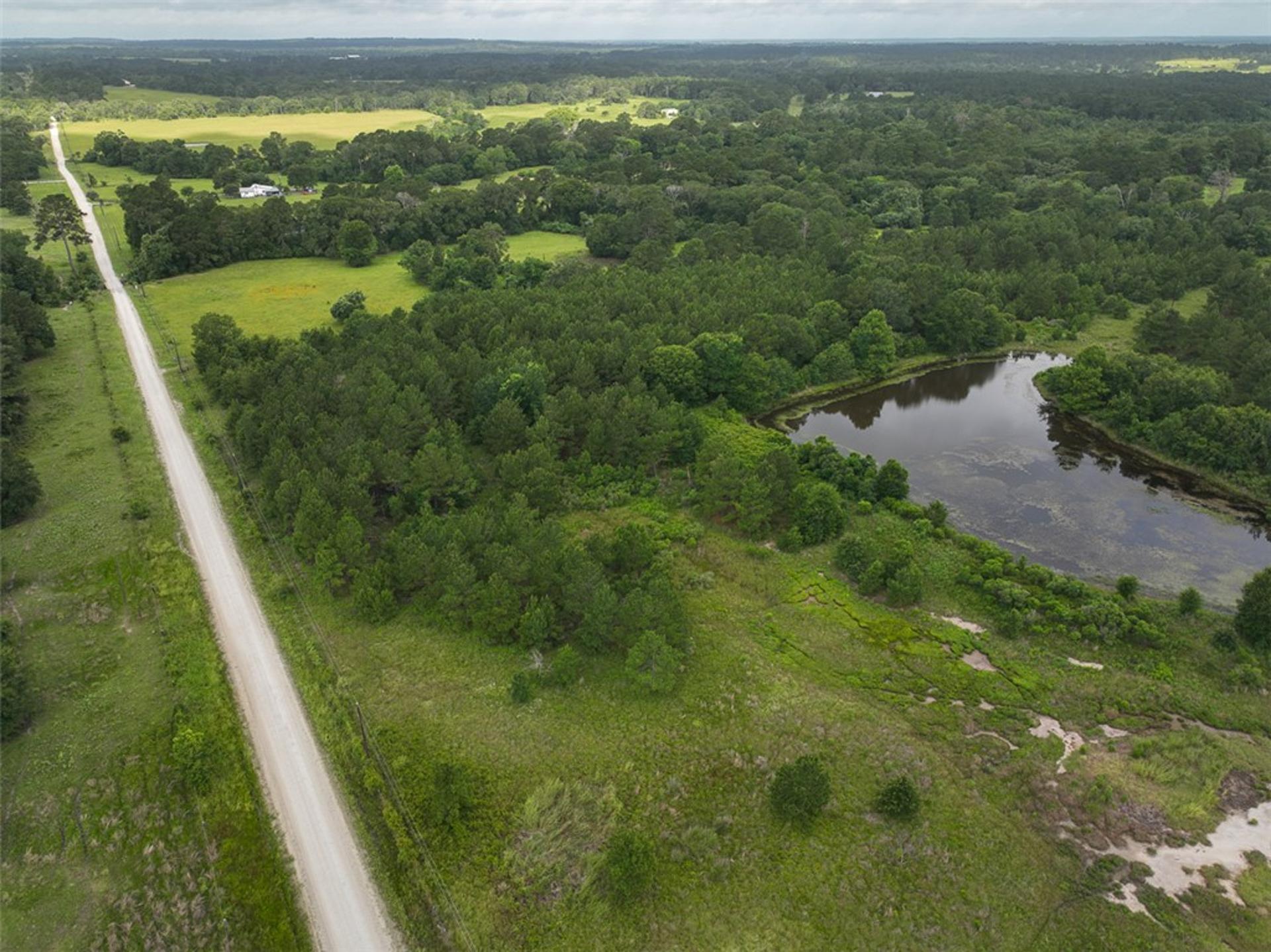 0 County Road 227, Bedias, TX, 77831