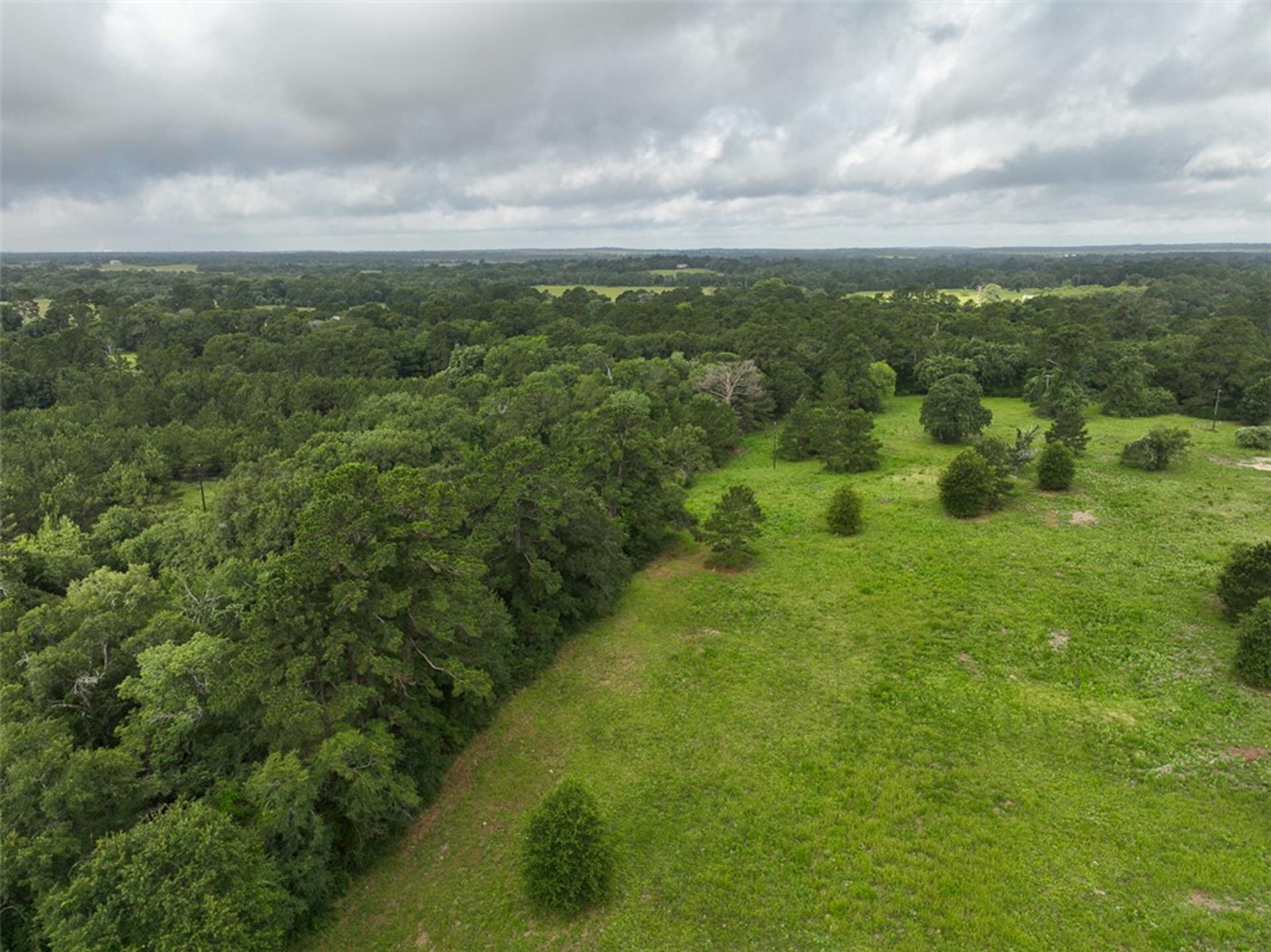 0 County Road 227, Bedias, TX, 77831