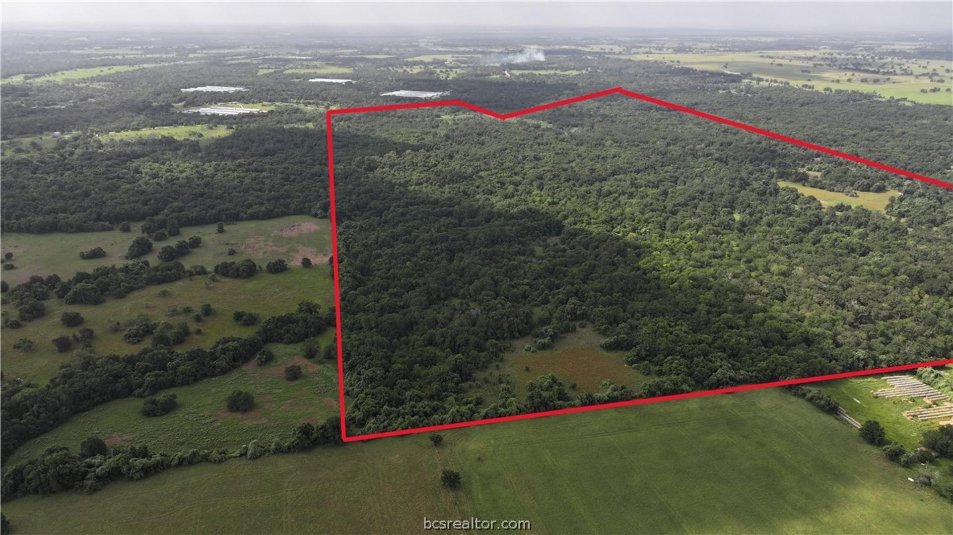 TBD Rose Hill Rd/Pleasant Hill Rd, Bremond, TX, 77837