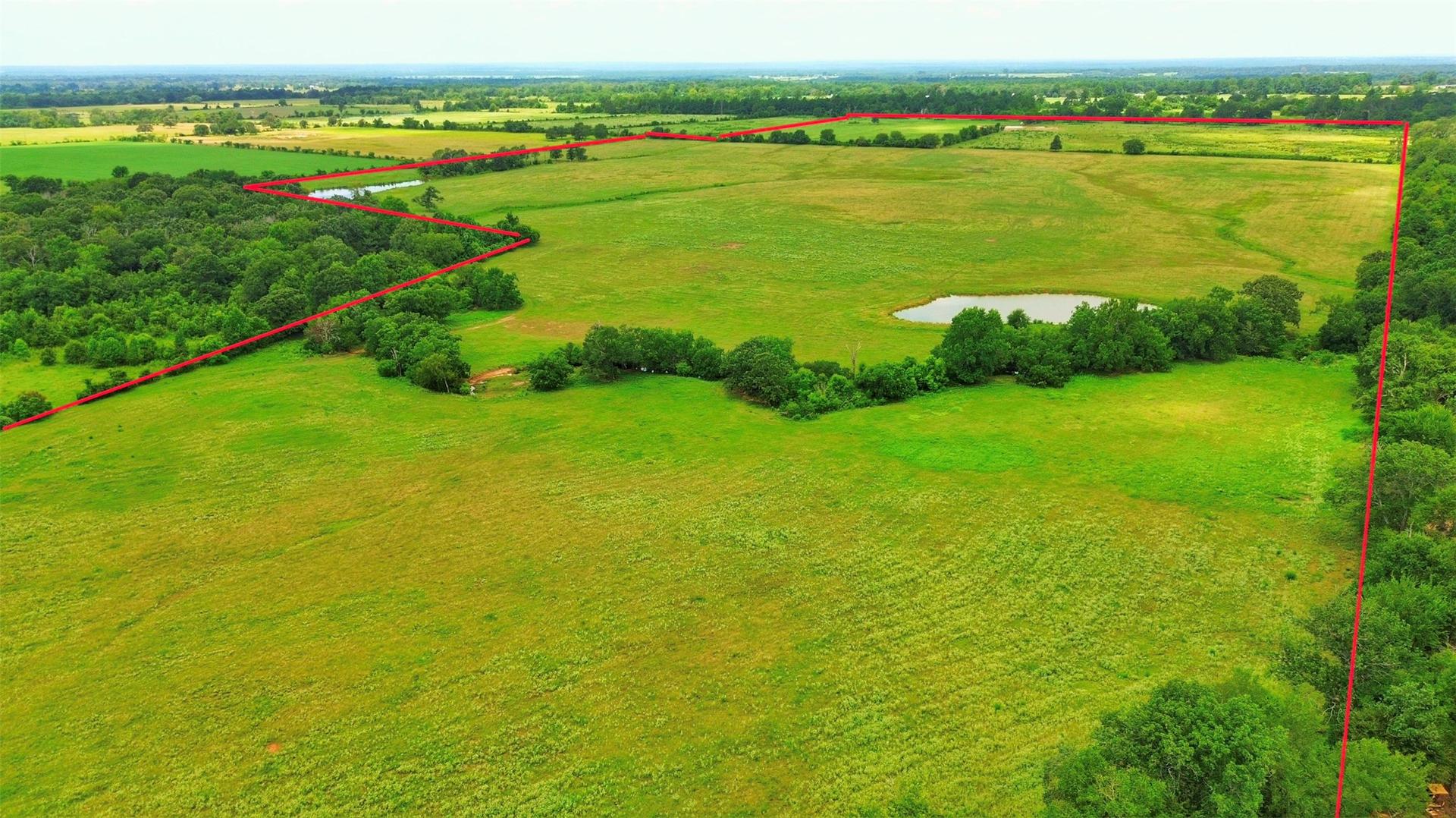 TBD FM 132, Crockett, TX, 75835