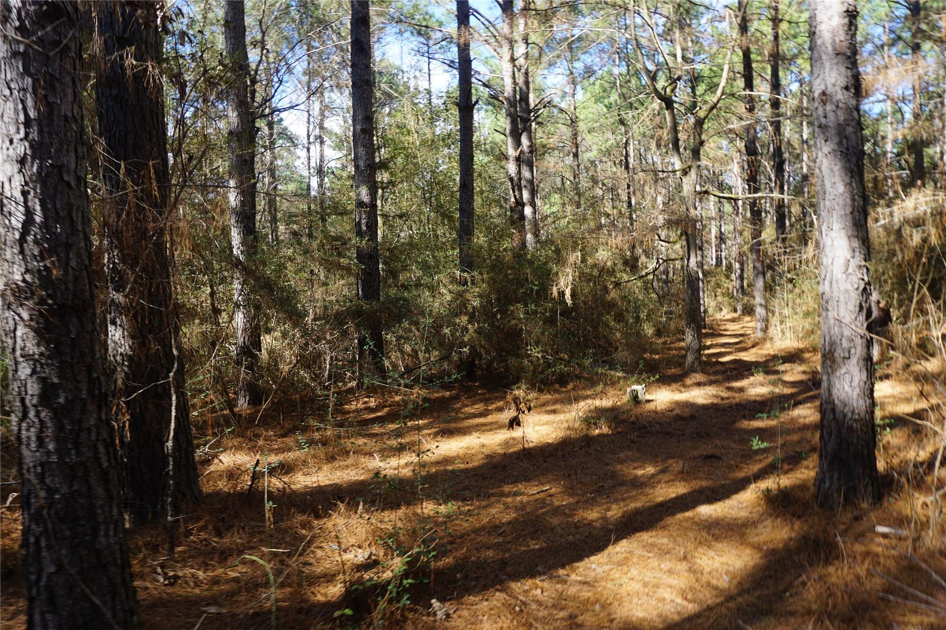 0 County Road 352, Palestine, TX, 75803