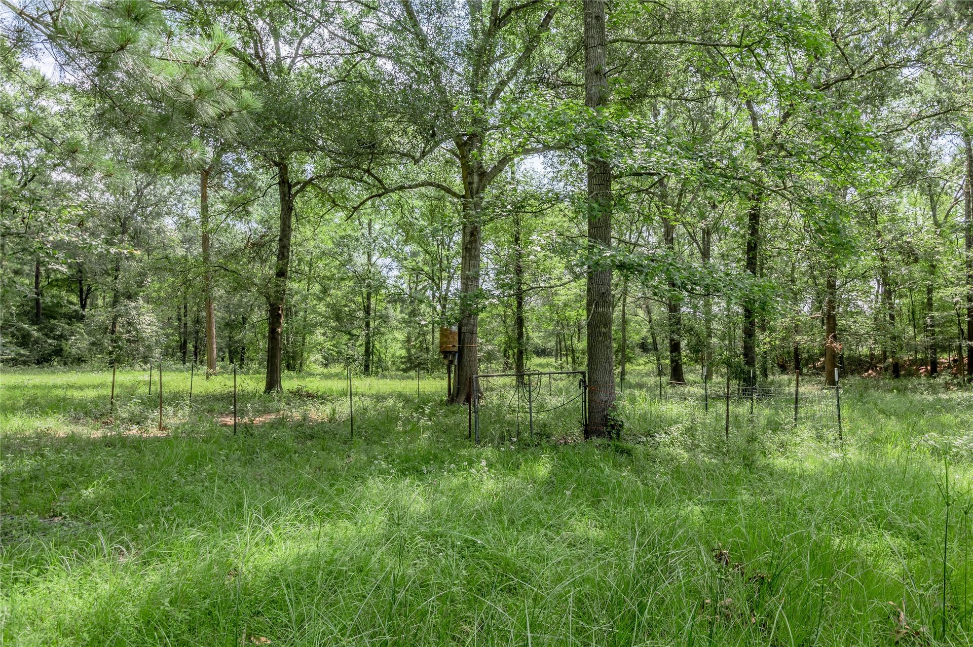 TBD Neal Helton Road, Kennard, TX, 75847
