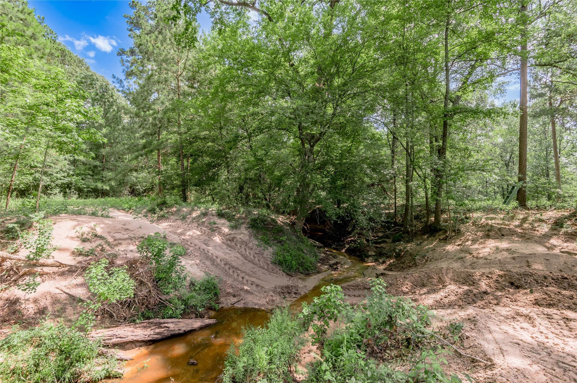 TBD Neal Helton Road, Kennard, TX, 75847