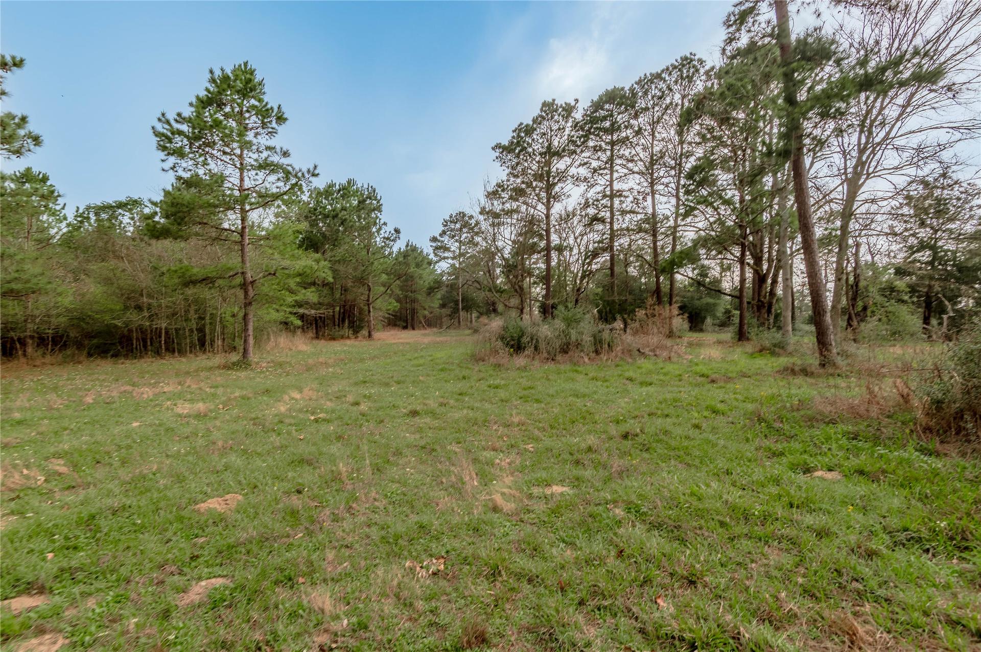14254 CR 2080, Crockett, TX, 75835