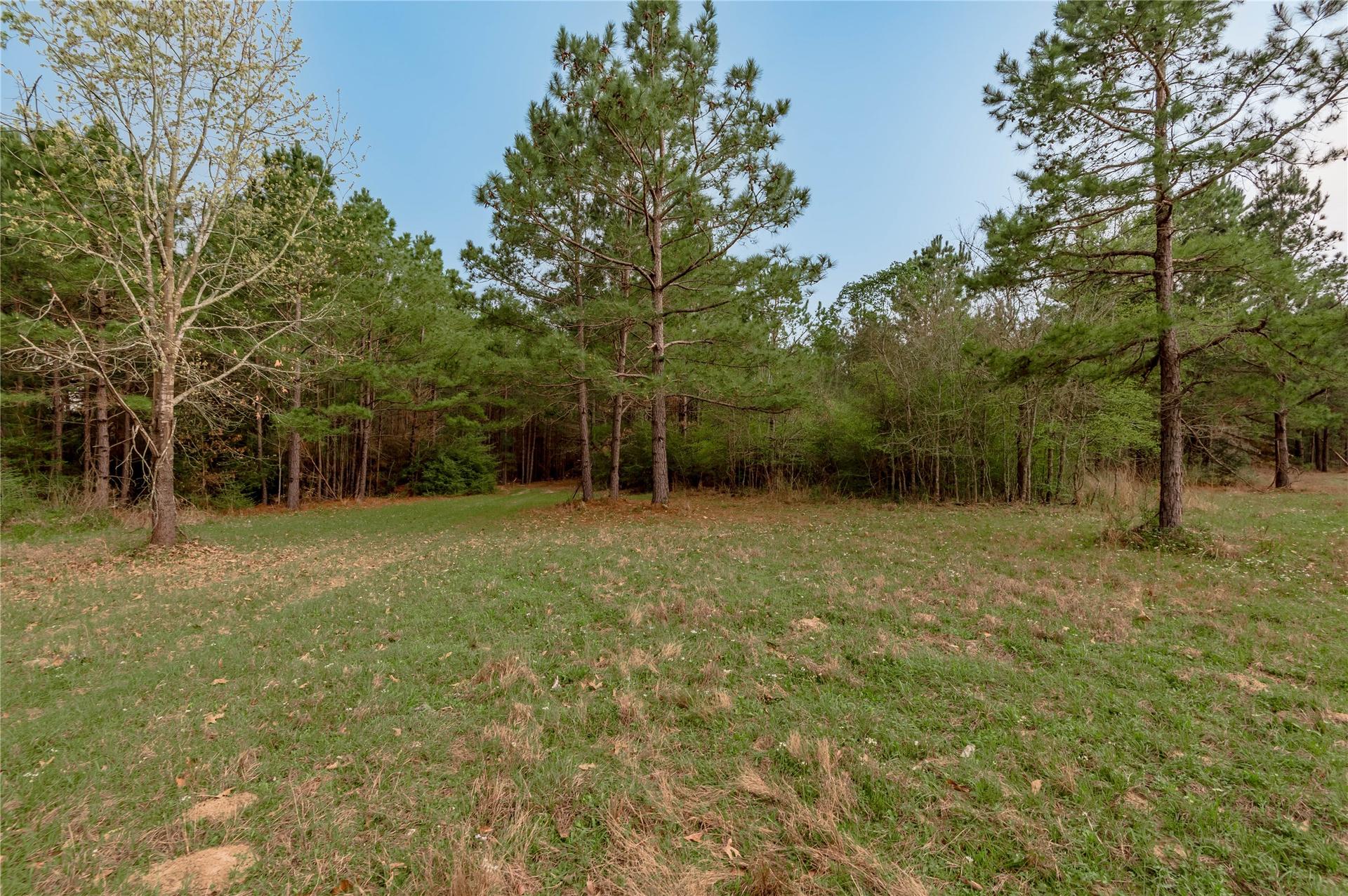 14254 CR 2080, Crockett, TX, 75835