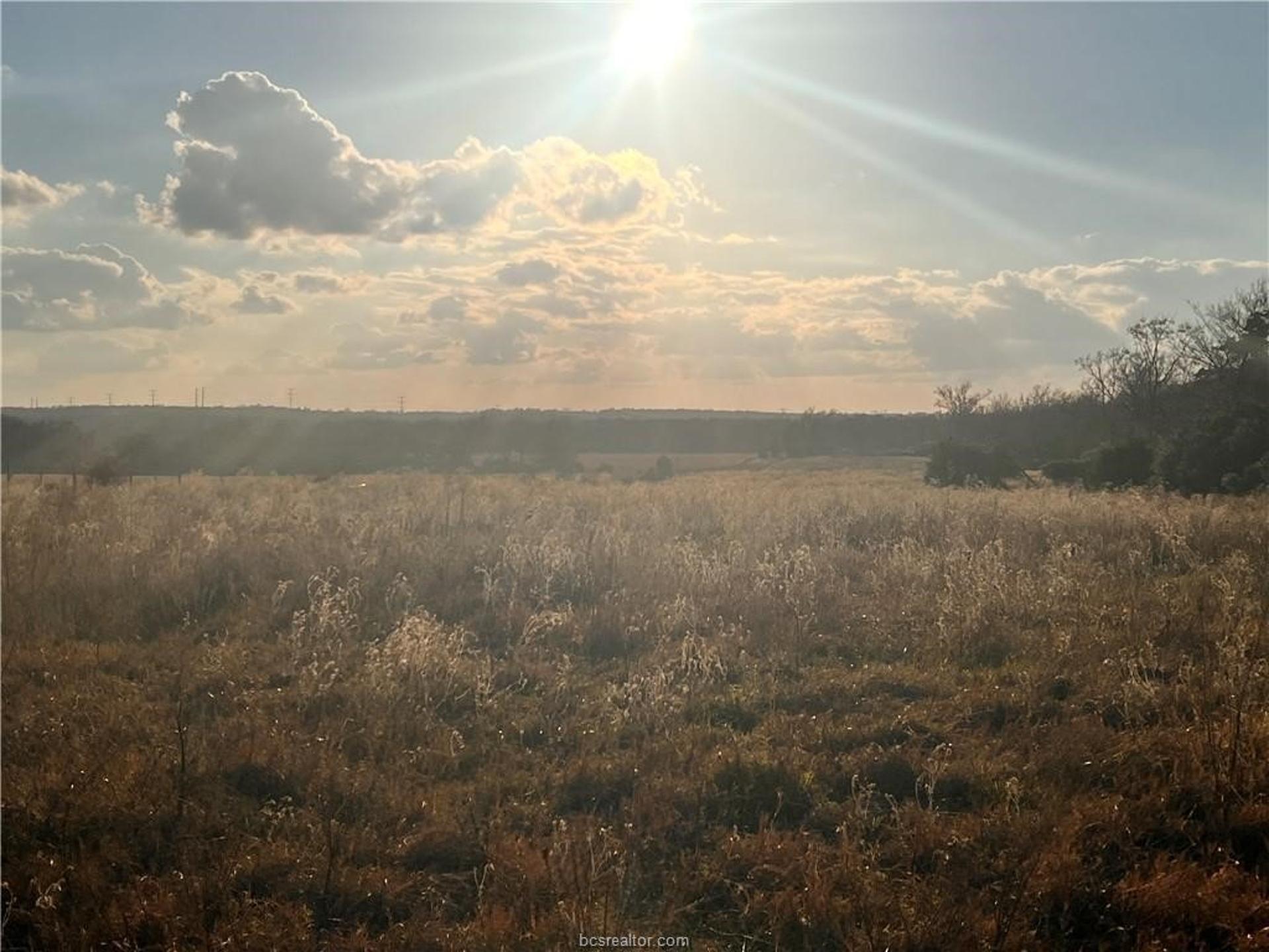 308.844 ACRES TBD Fm-1469, Marquez, TX, 77865
