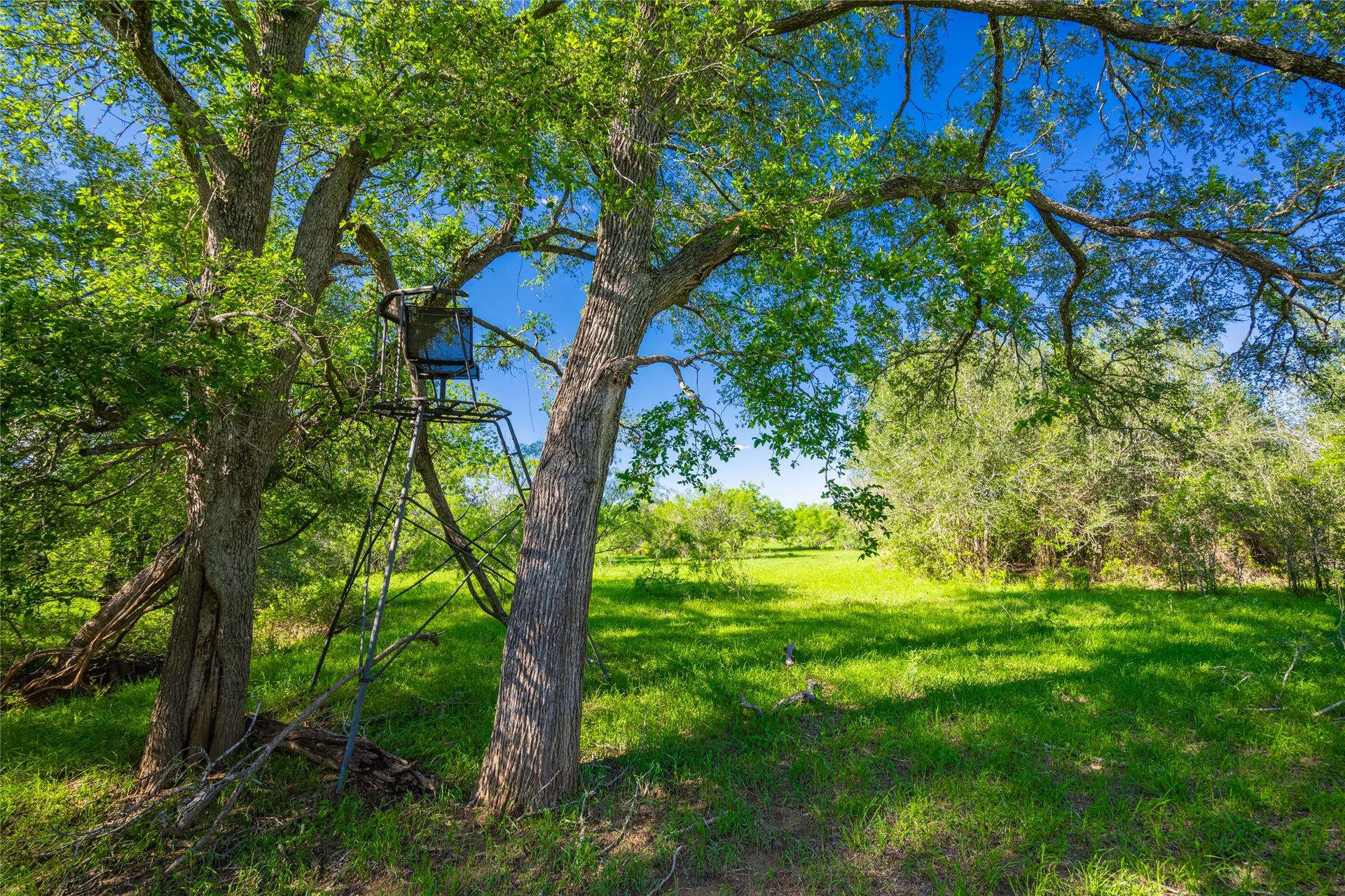 0 Sparta Field Road, Waelder, TX, 78959