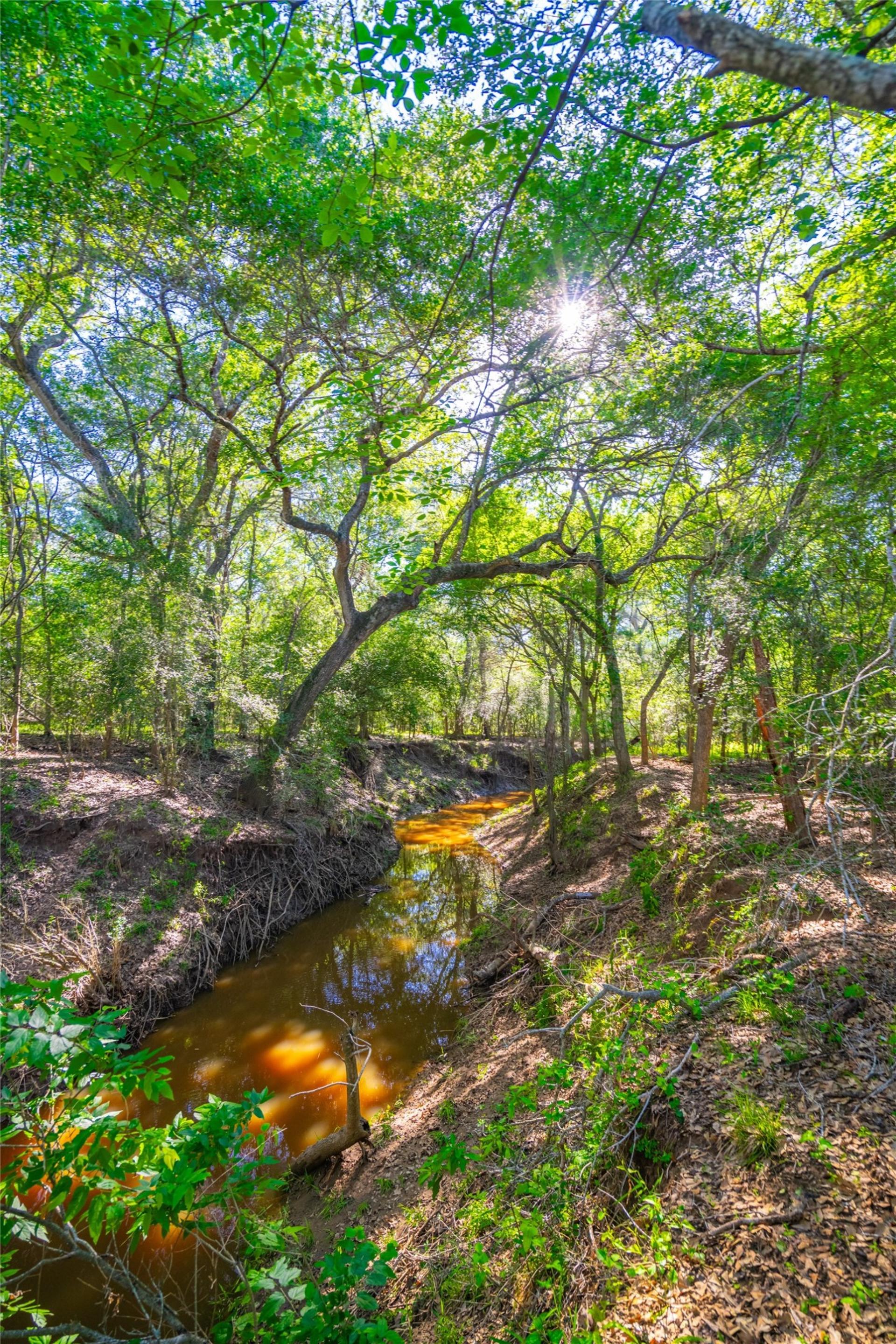0 Sparta Field Road, Waelder, TX, 78959