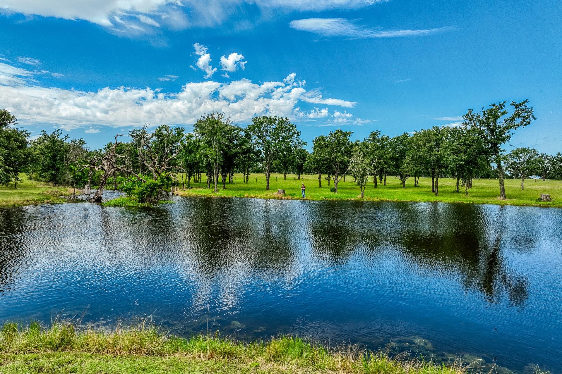 10092 County Road 446, Snook, TX, 77878