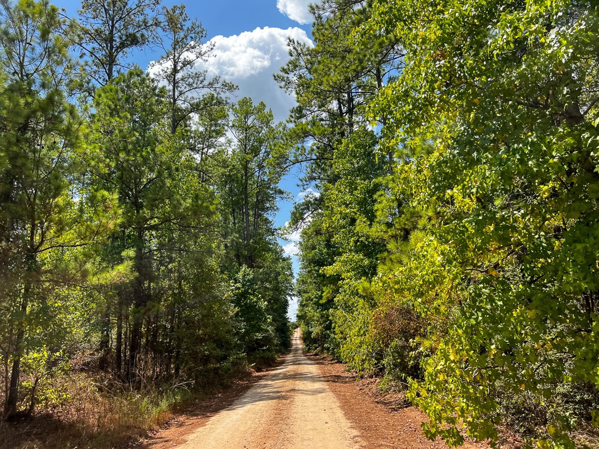 000 Off Lost Indian Camp Road, Huntsville, TX, 77320