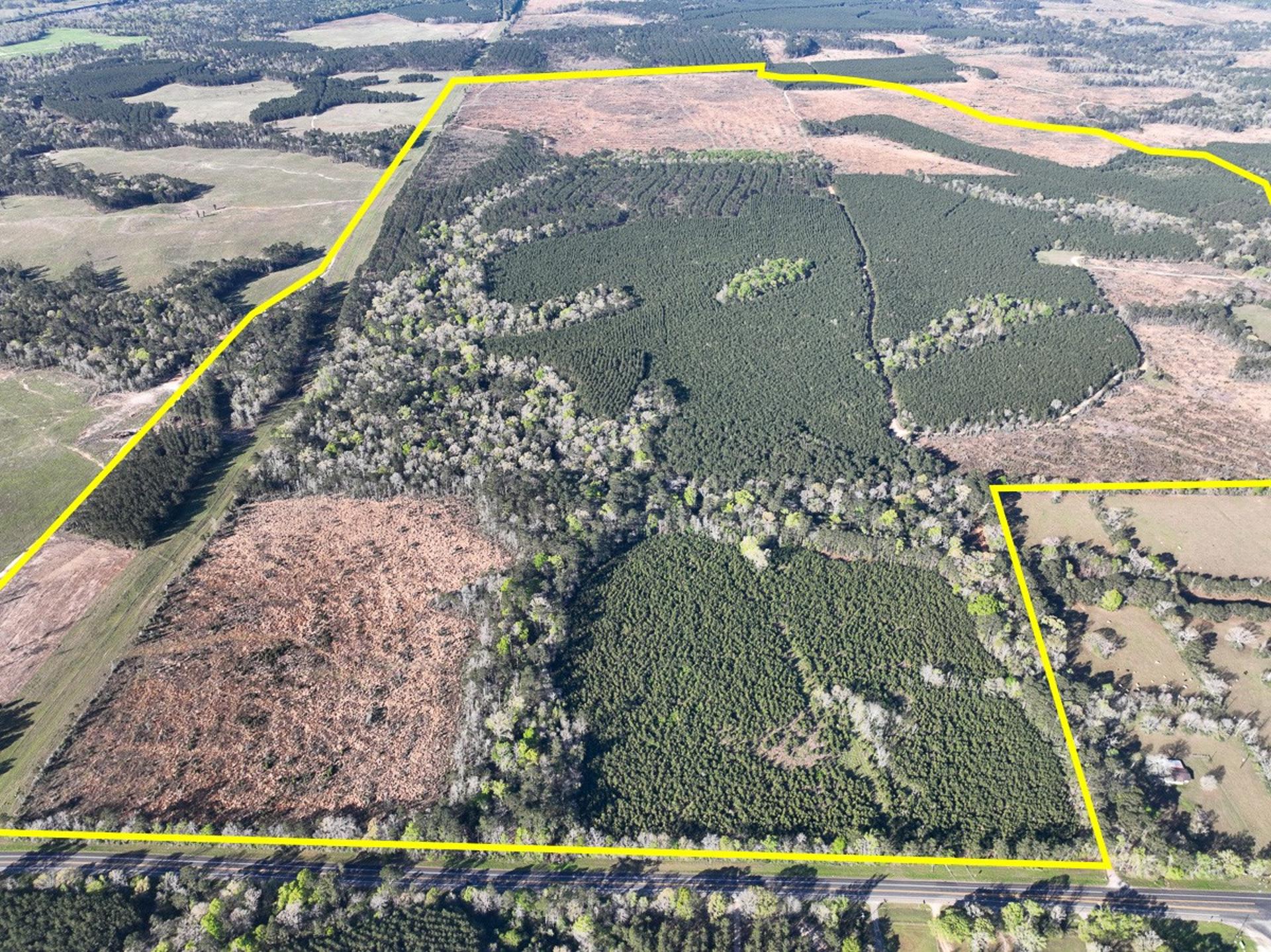 1 Granbury Rd, Livingston, TX, 77351