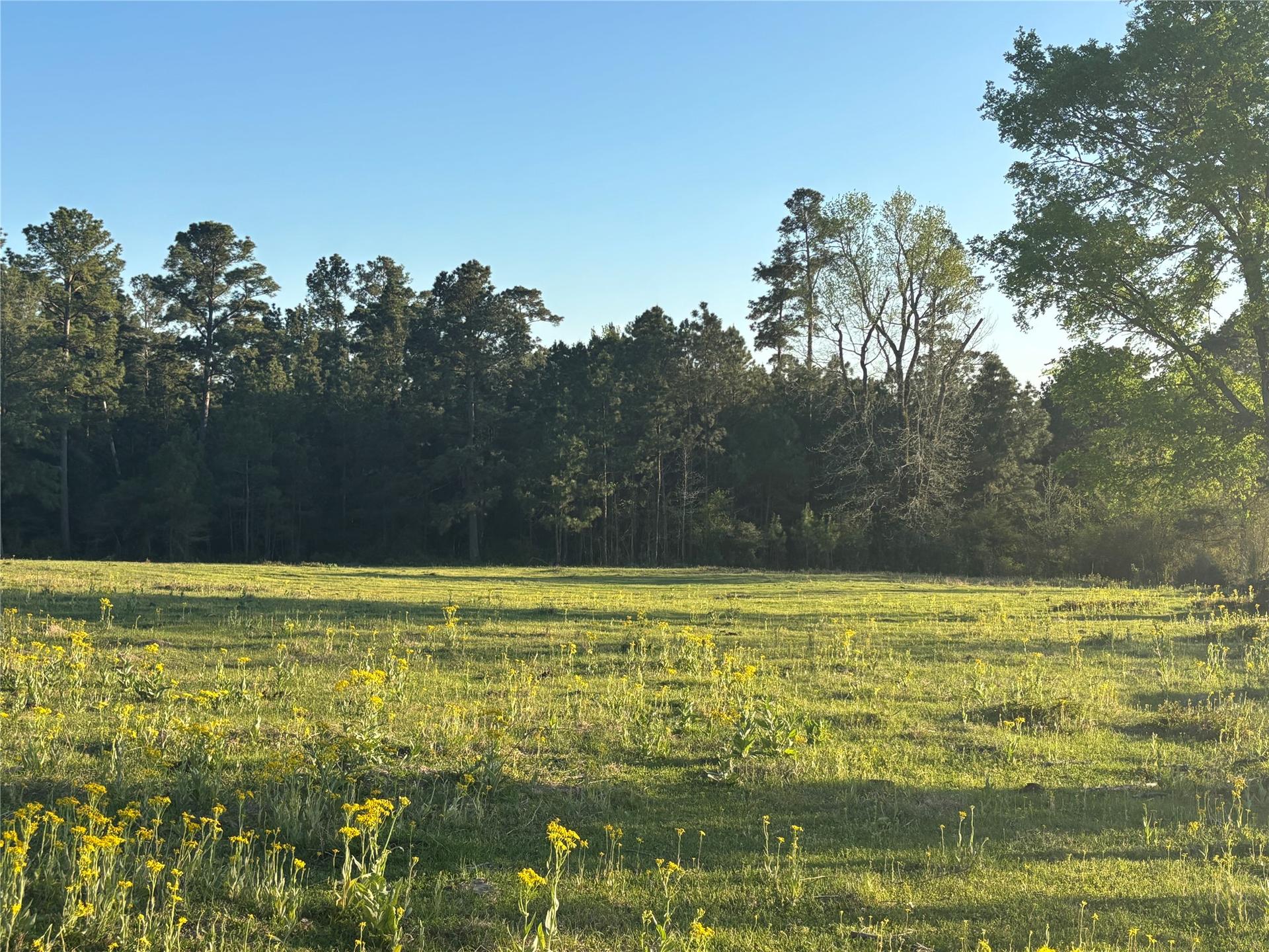 TBD CR4120, Lovelady, TX, 75851