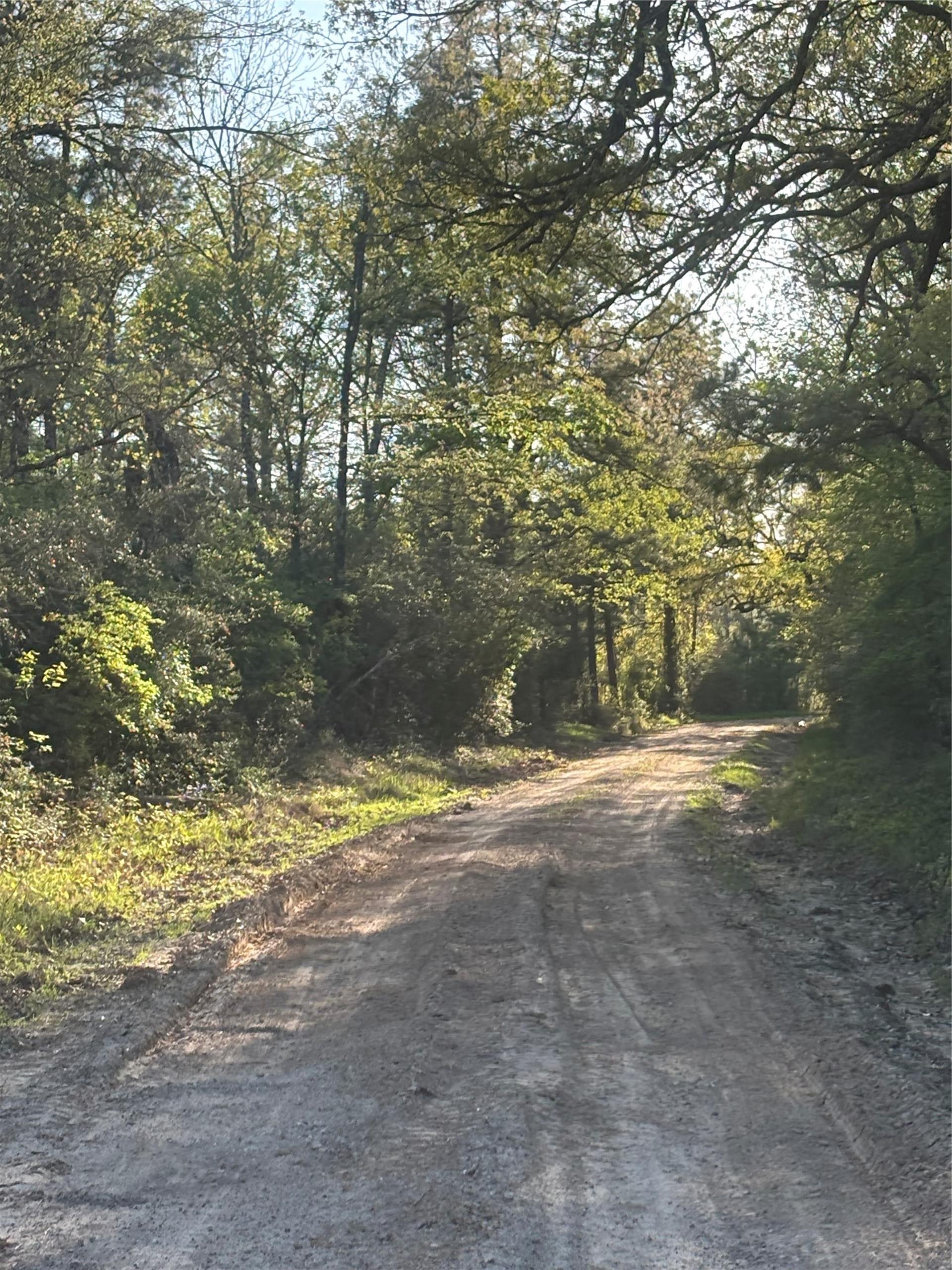 TBD CR4120, Lovelady, TX, 75851