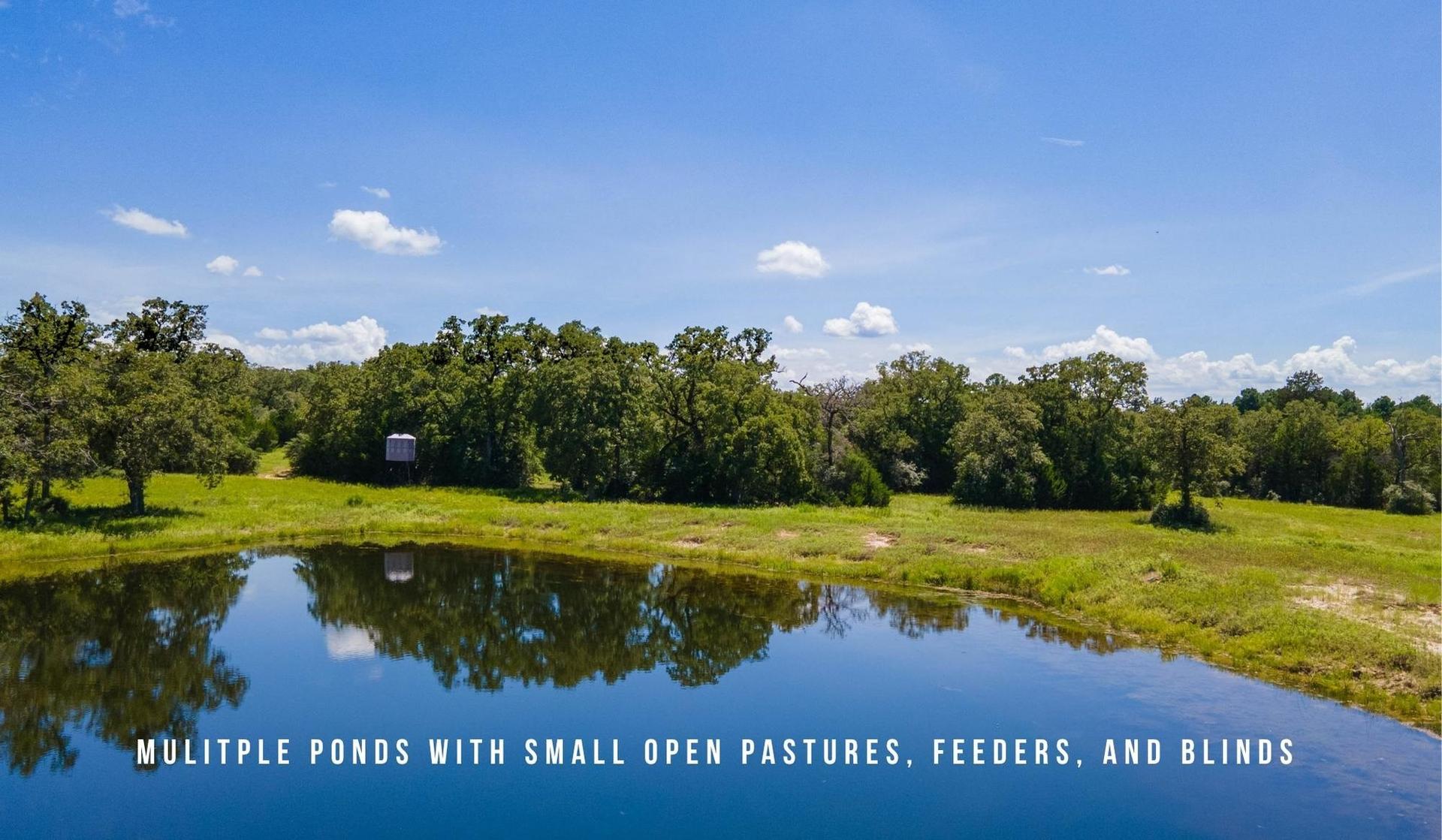 TBD County Road 405 - 839 acres, Lexington, TX, 78947