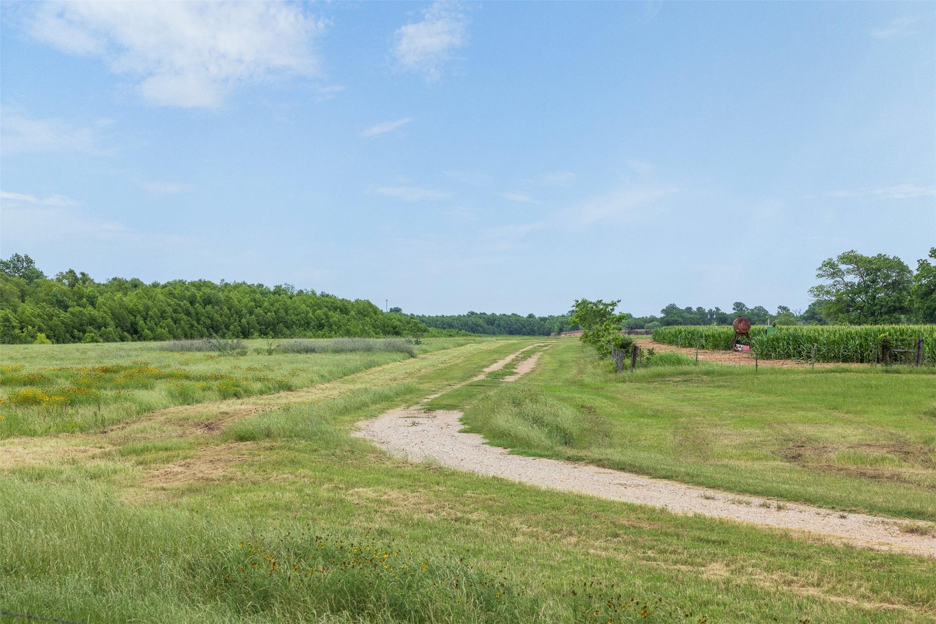 000 Terminus of CR 227, Caldwell, TX, 77836
