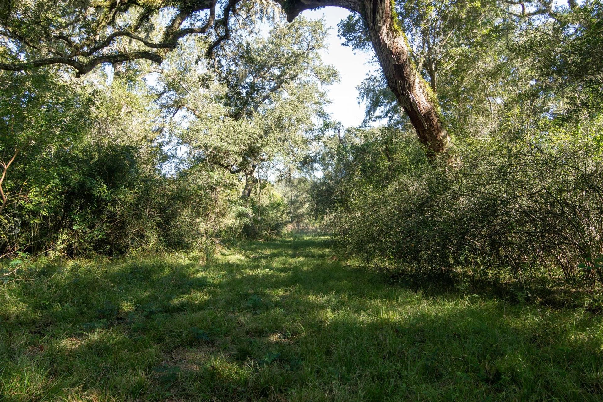 0000 CR 611, Angleton, TX, 77515