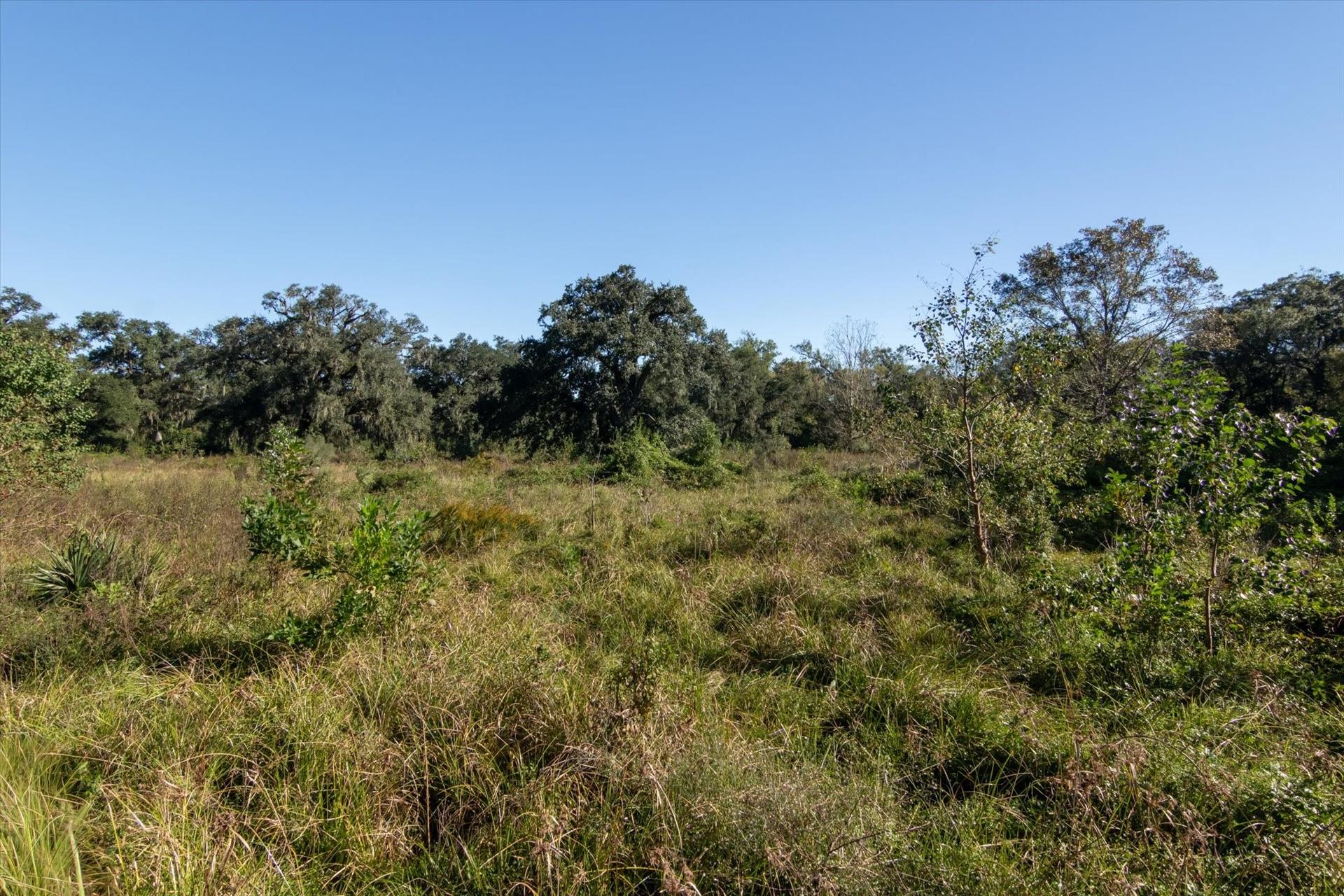 0000 CR 611, Angleton, TX, 77515