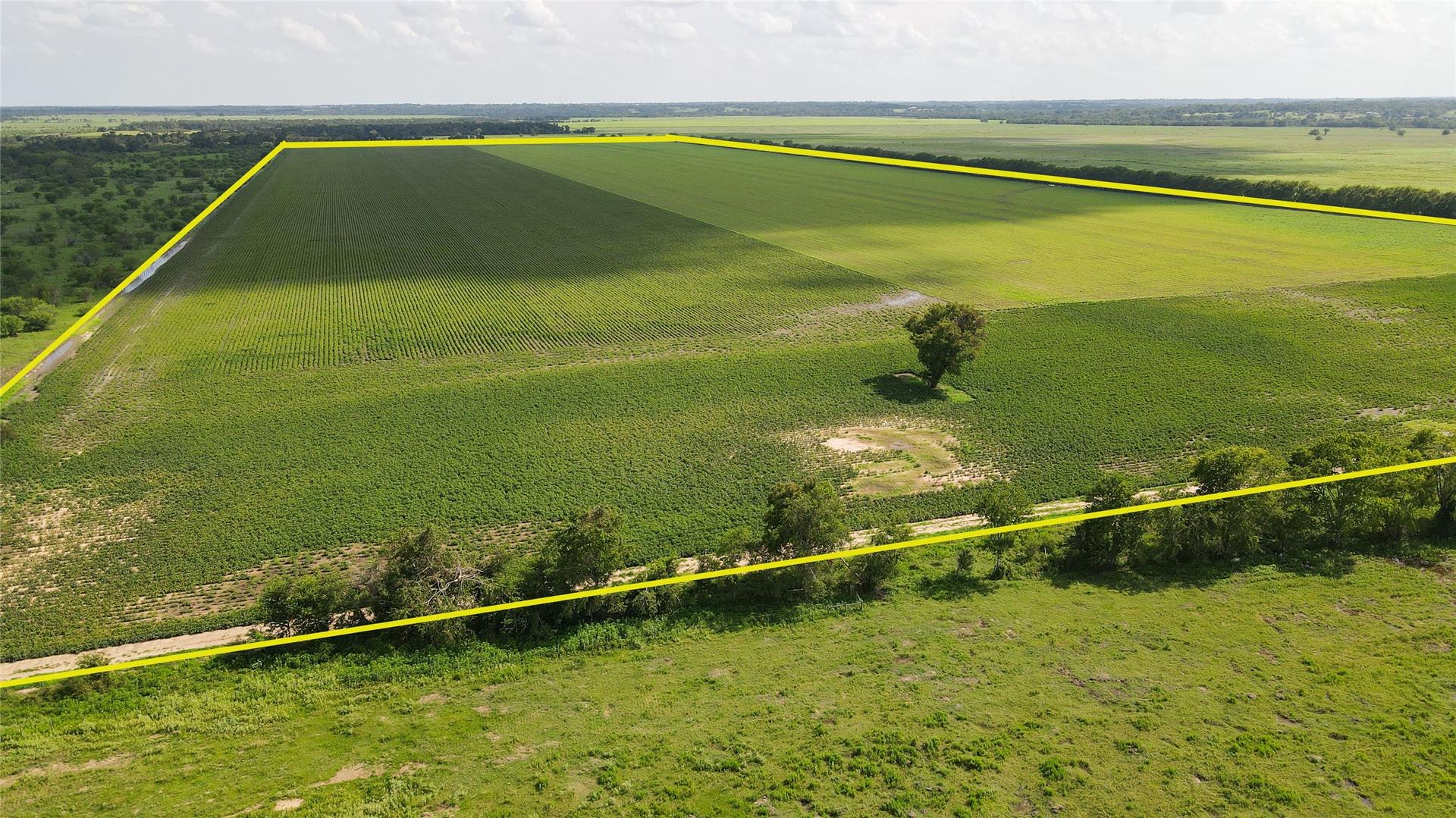 00 Felder, Washington, TX, 77880