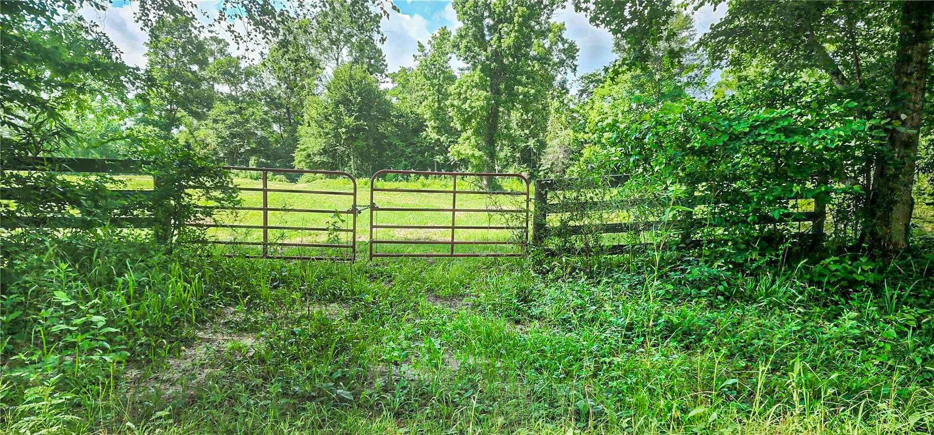 000 Tinney, Livingston, TX, 77351