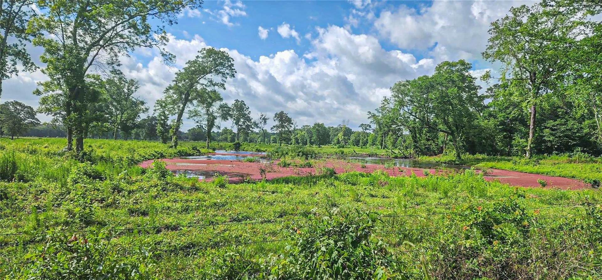 000 Tinney, Livingston, TX, 77351