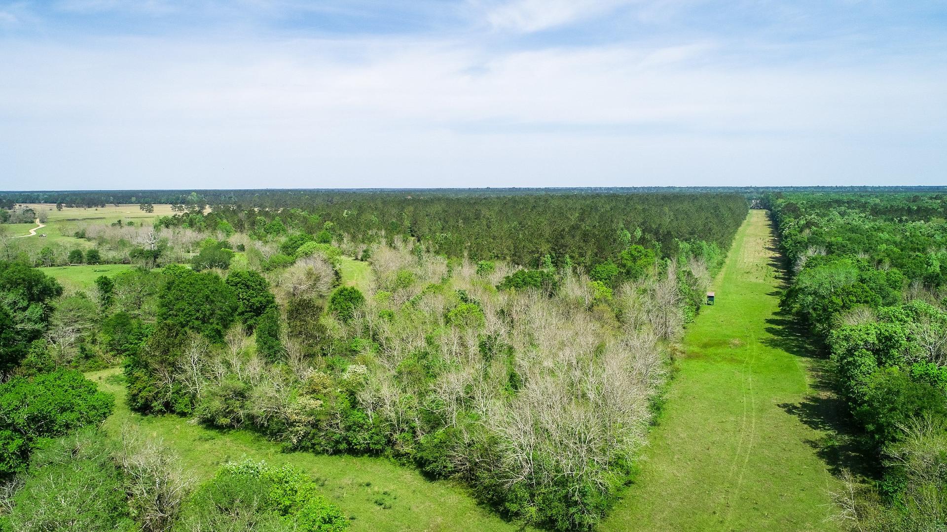 40902 SH 105, Batson, TX, 77519